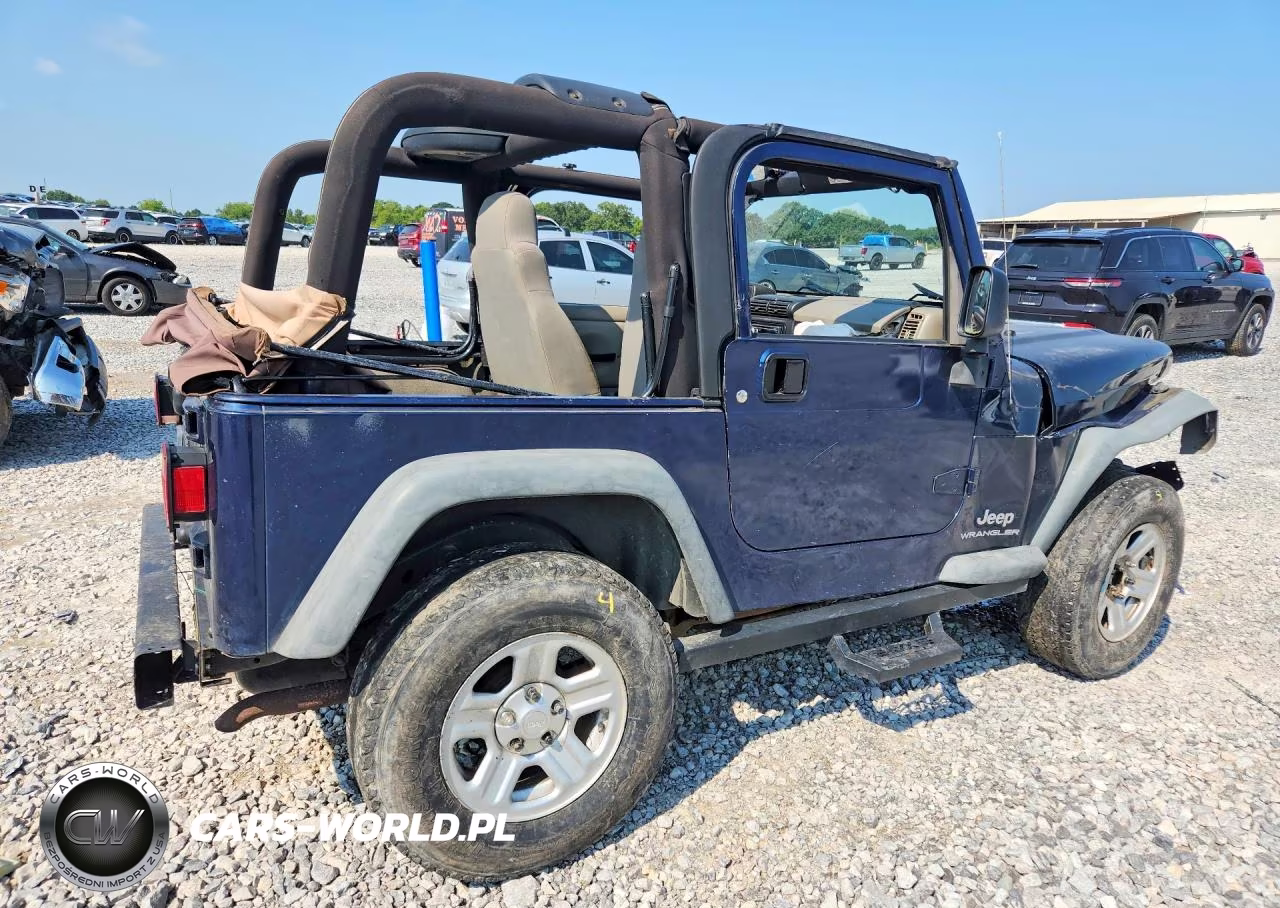 2003 Jeep Wrangler - Tj Se VIN:1J4FA29113P334977 - 3