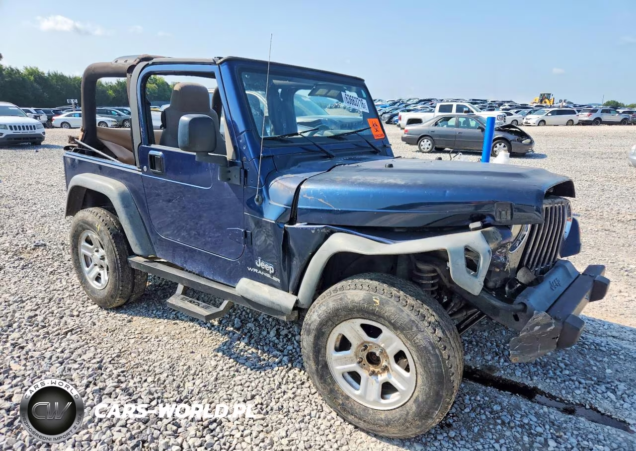 2003 Jeep Wrangler - Tj Se VIN:1J4FA29113P334977 - 4