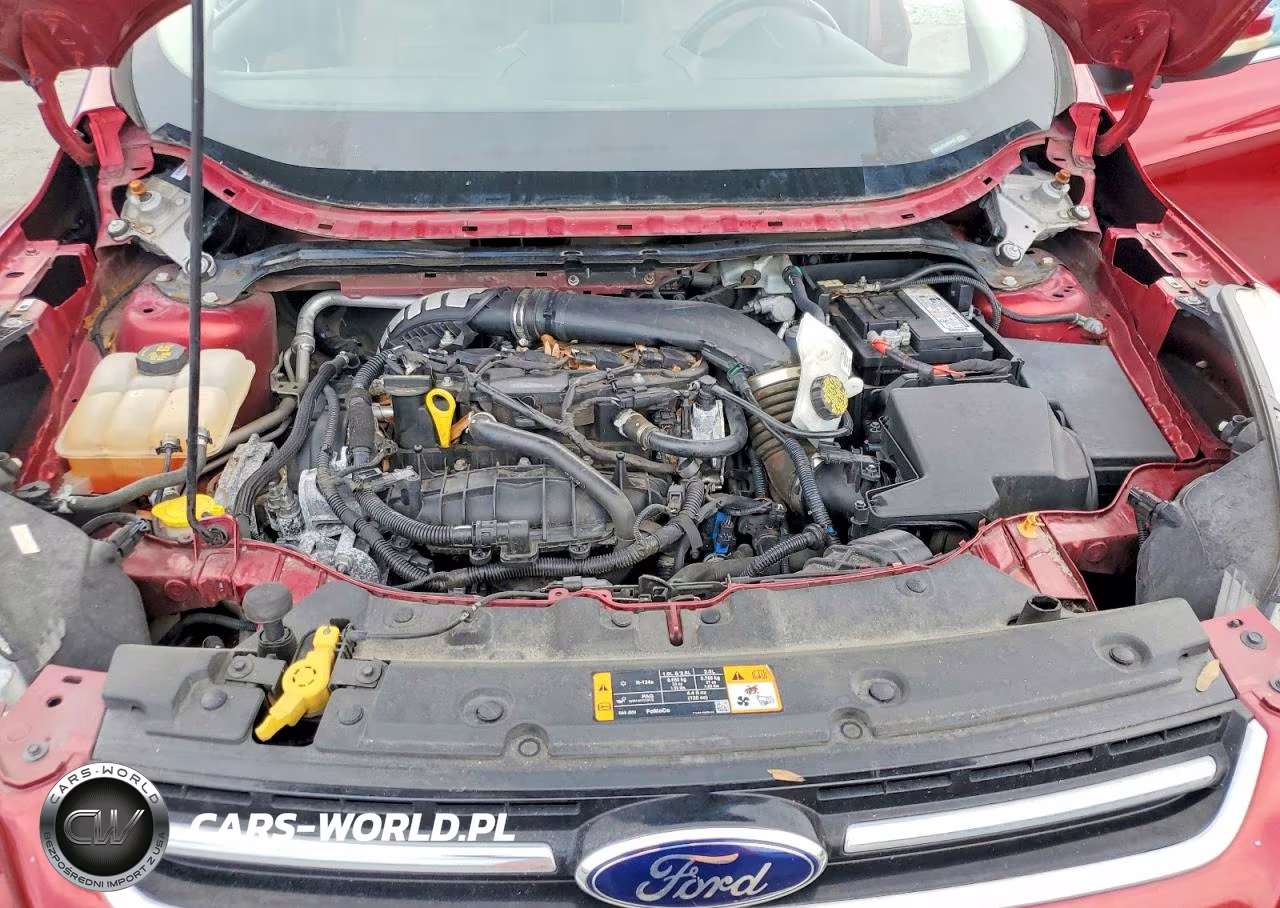 2013 Ford Escape Sel VIN:1FMCU0HX4DUD64497 - 12