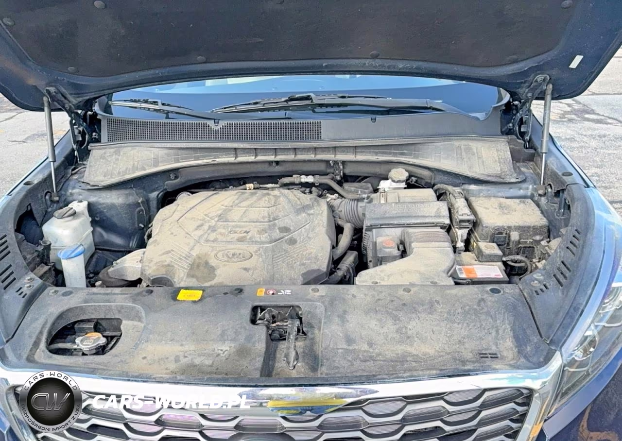 2019 Kia Sorento Ex V6 VIN:5XYPHDA51KG533285 - 7