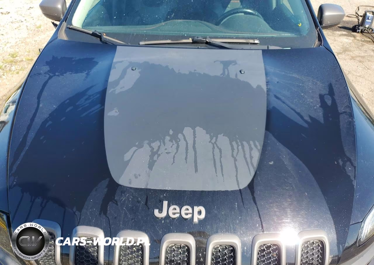 2017 Jeep Cherokee Trailhawk VIN:1C4PJMBS8HW556583 - 12