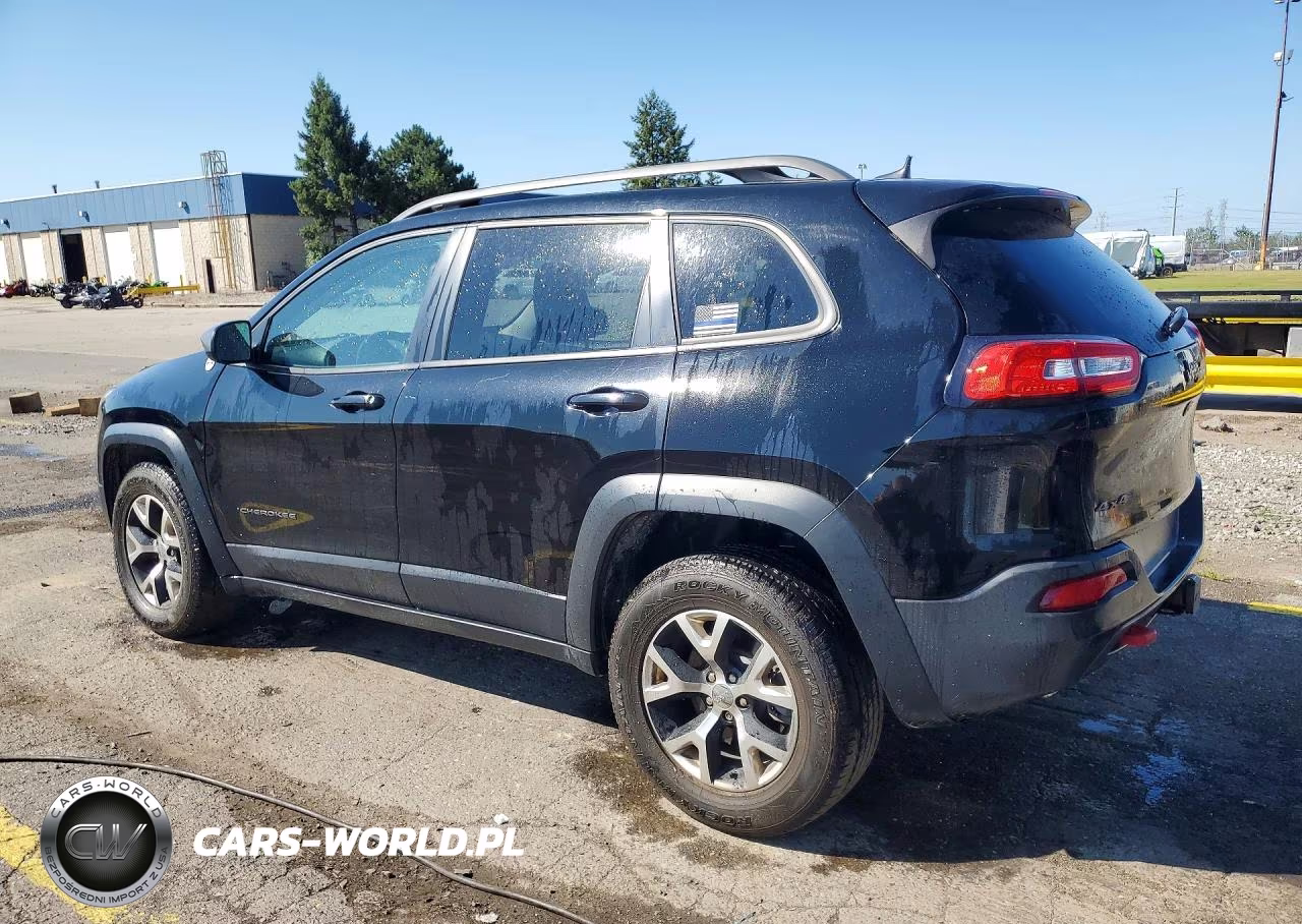 2017 Jeep Cherokee Trailhawk VIN:1C4PJMBS8HW556583 - 2