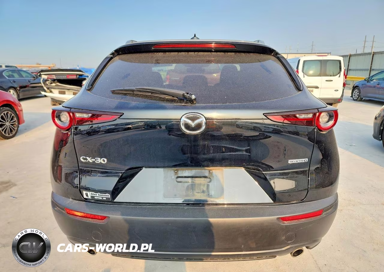 2020 Mazda Cx-30 Premium VIN:3MVDMAEM4LM108189 - 6