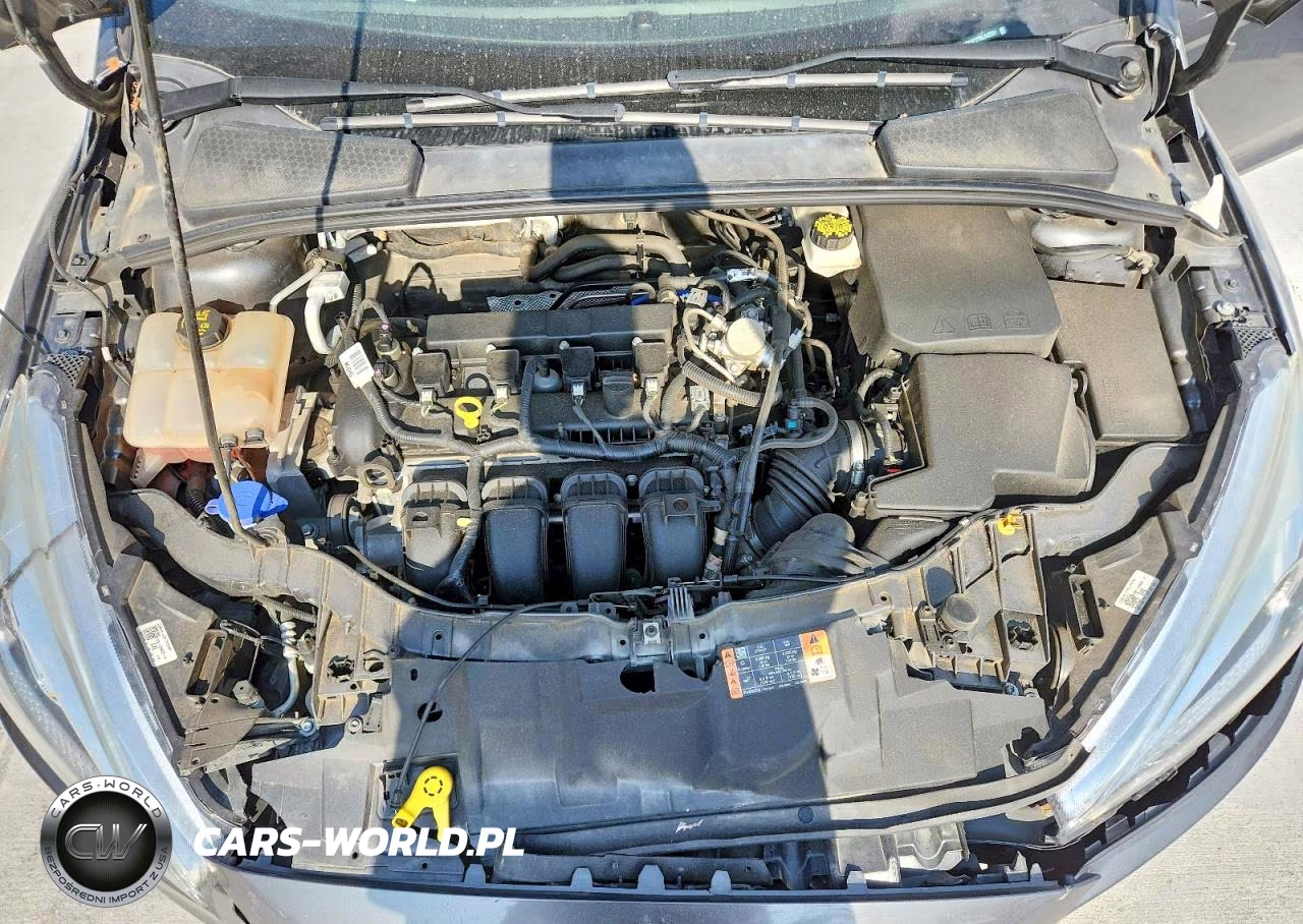 2017 Ford Focus Se VIN:1FADP3F27HL342231 - 11