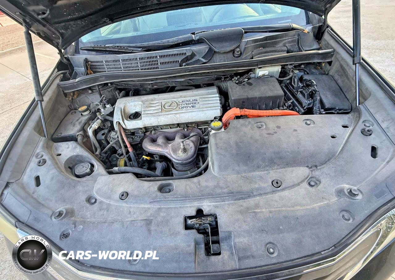 2010 Lexus Hs 250H VIN:JTHBB1BA2A2020172 - 7