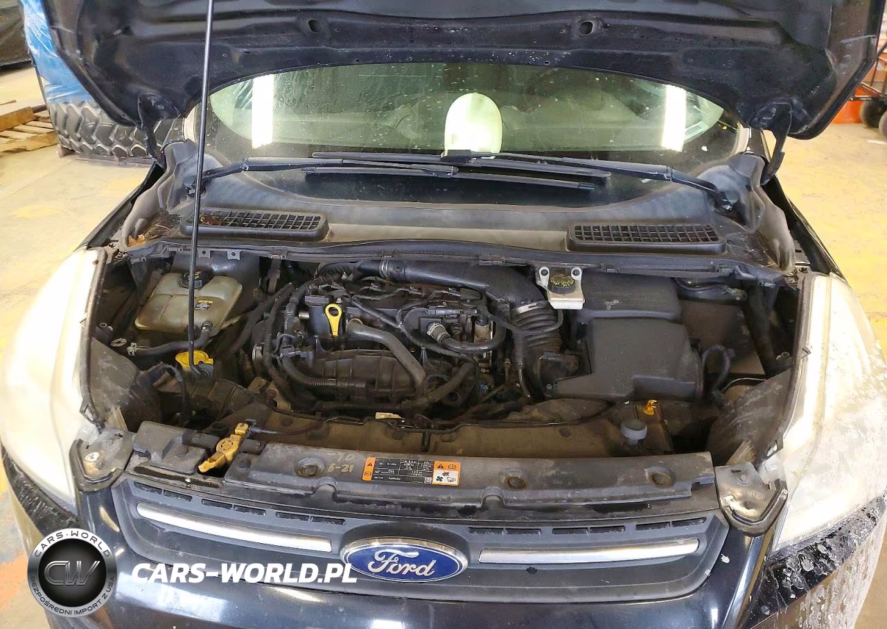 2013 Ford Escape Se VIN:1FMCU9GX8DUC73660 - 12