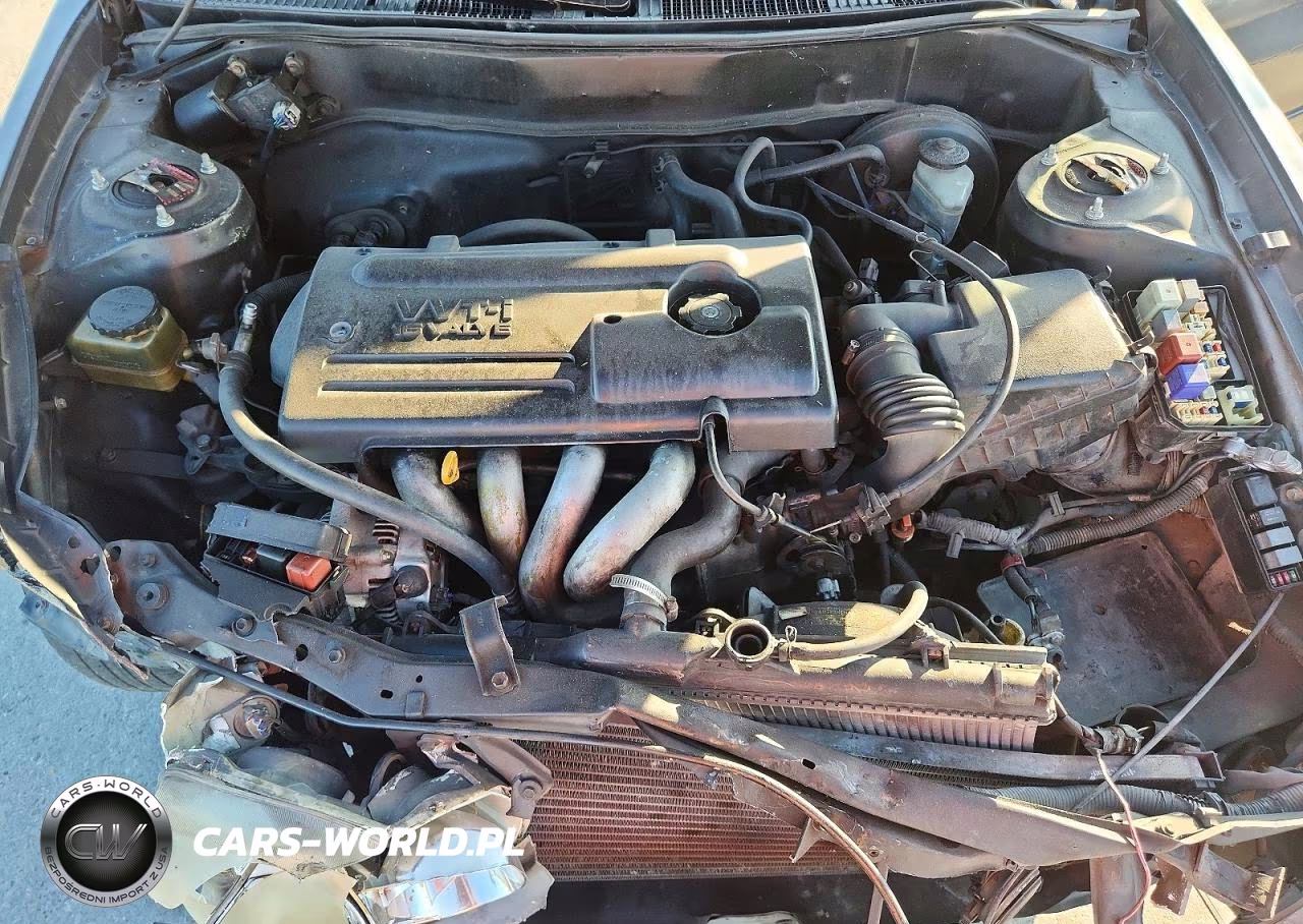 2001 Toyota Corolla Ce VIN:2T1BR12E01C391803 - 11