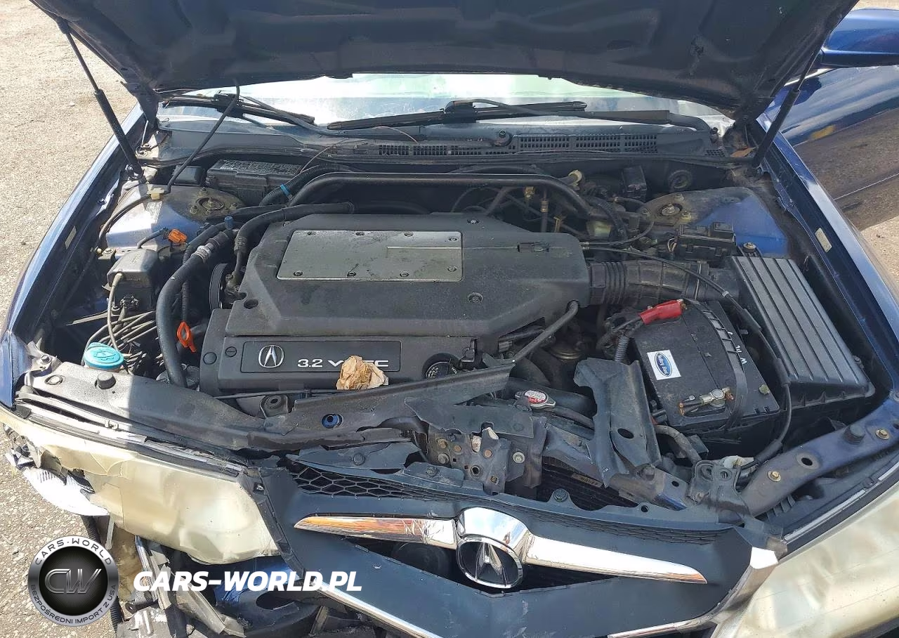 2002 Acura 3.2Tl VIN:19UUA56672A035687 - 11