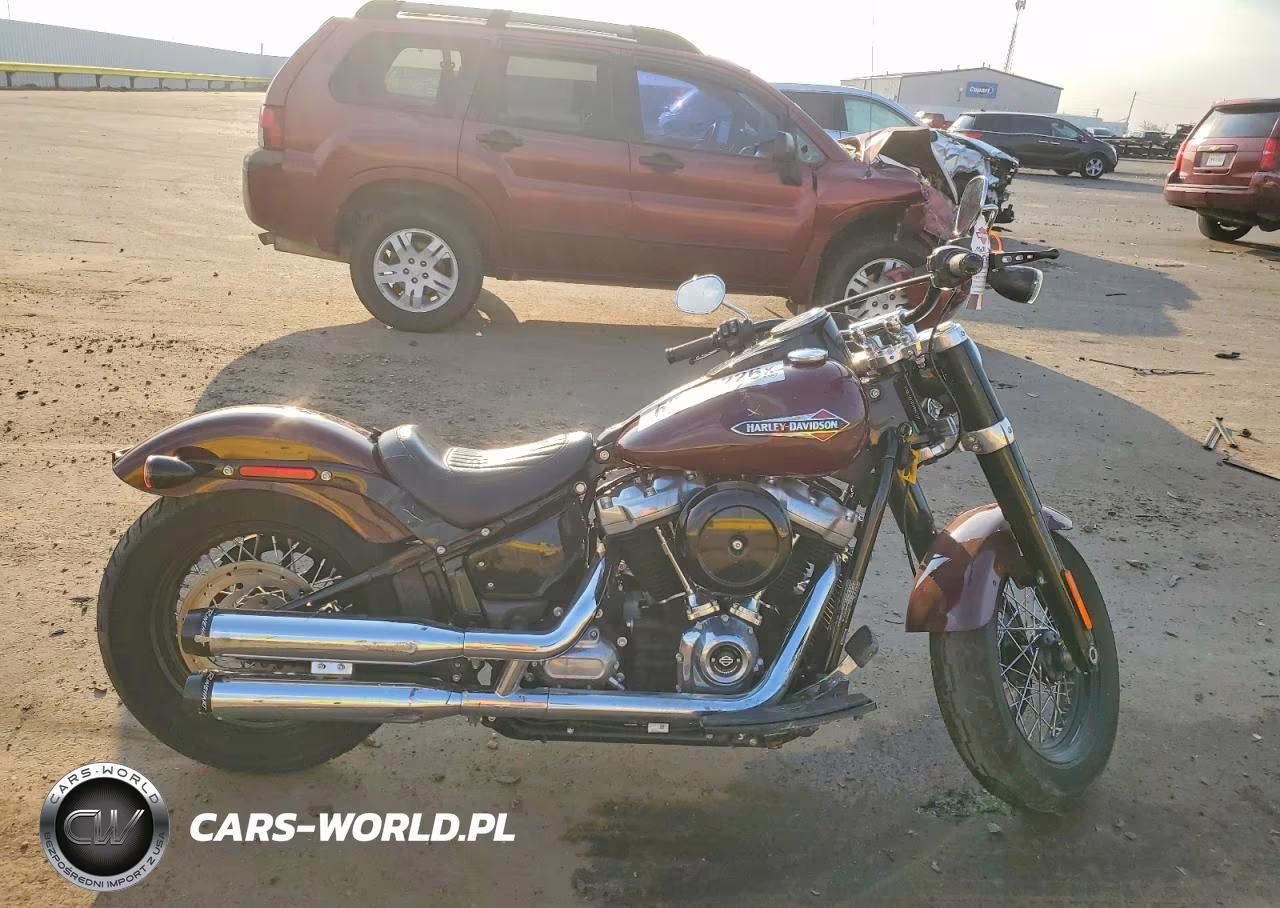2020 Harley-Davidson Flsl
