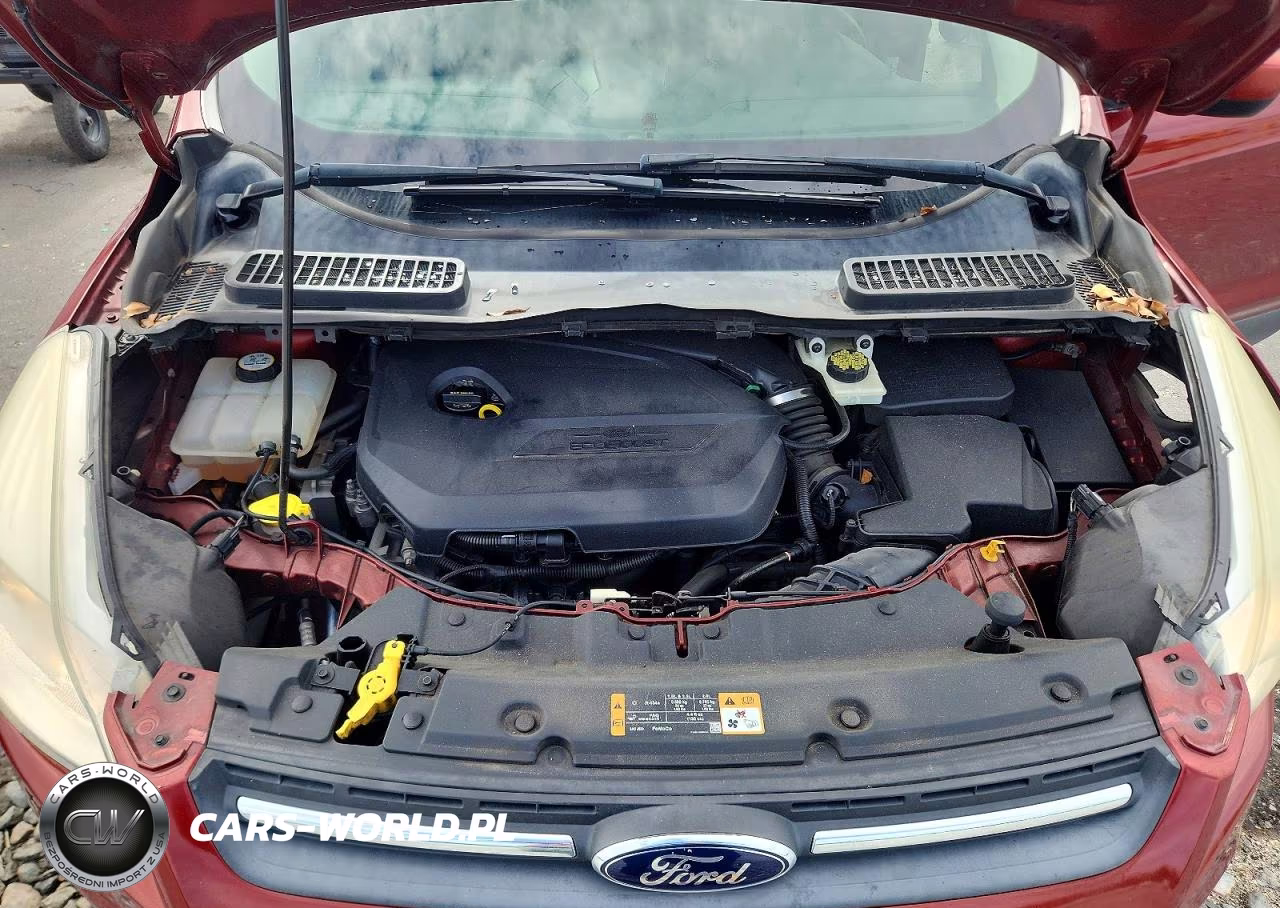 2014 Ford Escape Se VIN:1FMCU0GX2EUD57115 - 12