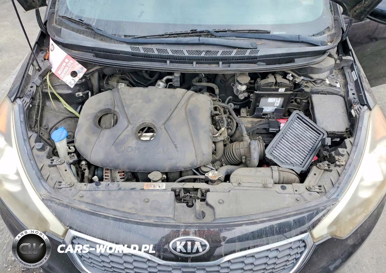 2015 Kia Forte Lx VIN:KNAFK4A6XF5347472 - 11