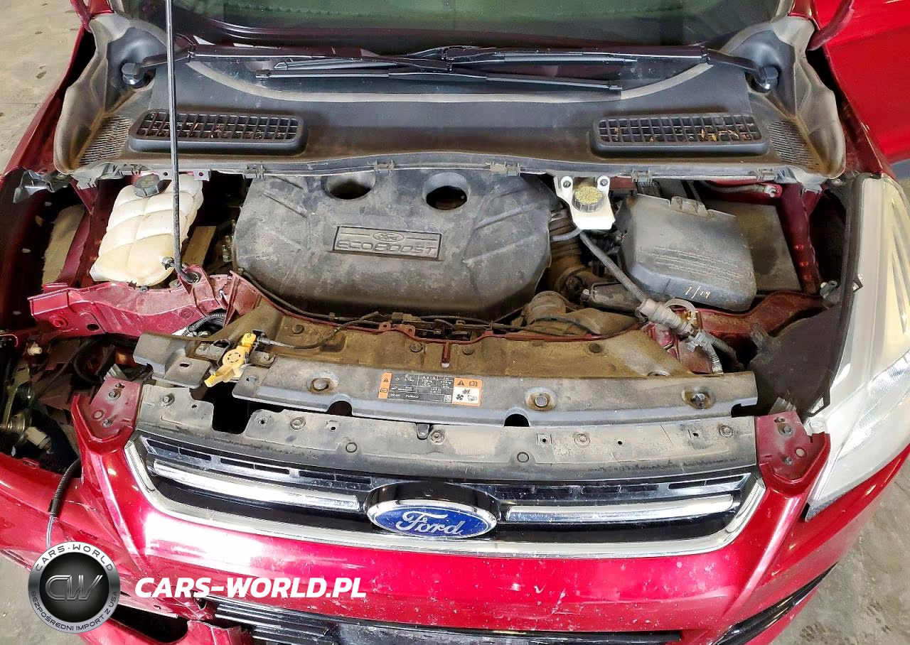 2014 Ford Escape Titanium VIN:1FMCU9J93EUB99091 - 12
