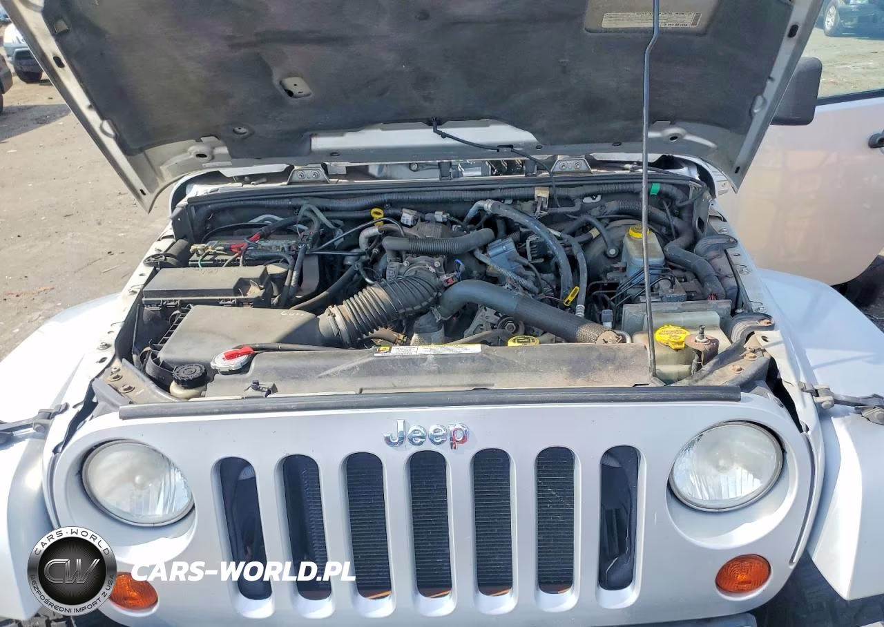 2008 Jeep Wrangler Sahara VIN:1J8FA54198L593139 - 12