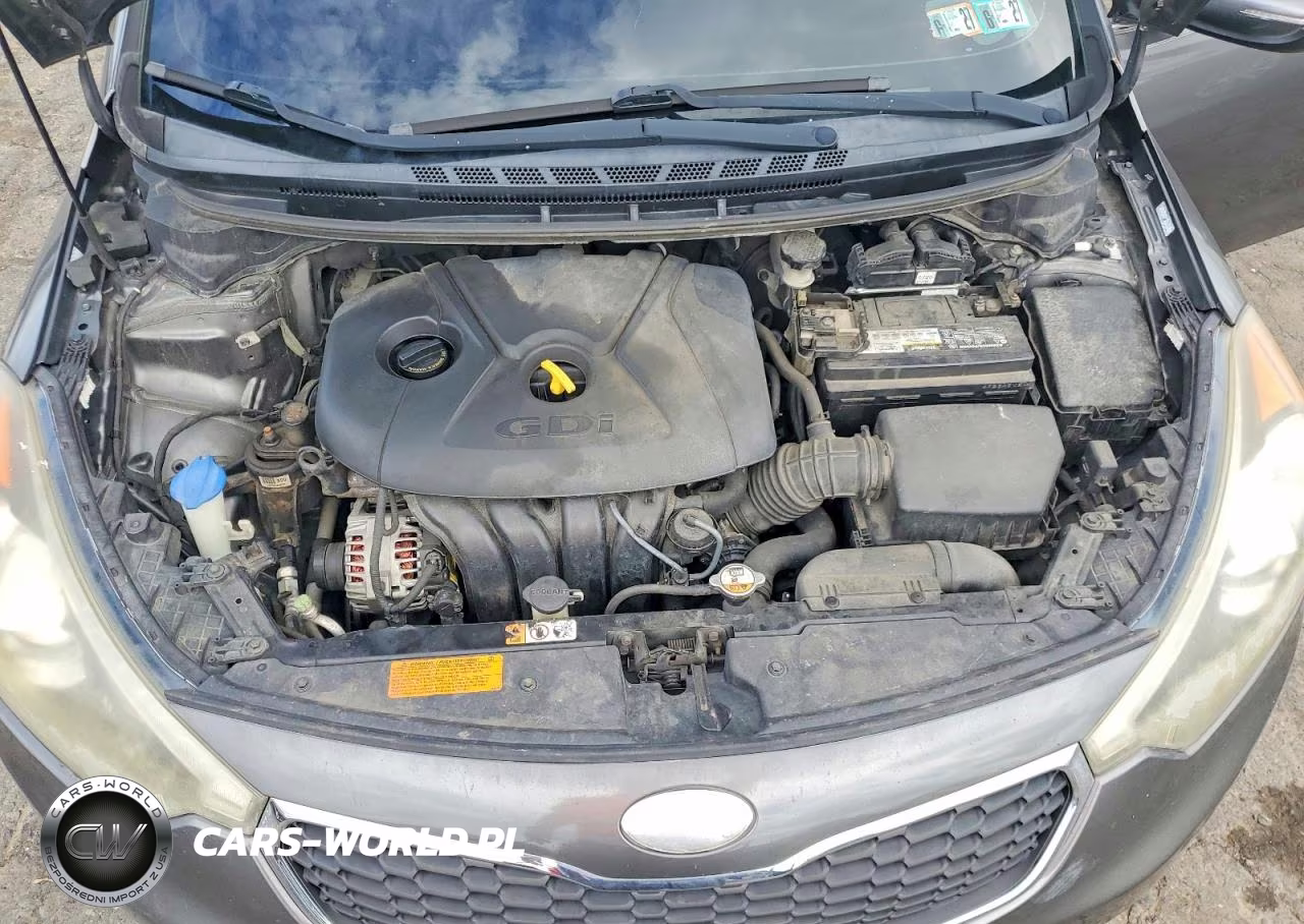 2014 Kia Forte Ex VIN:KNAFX4A8XE5095465 - 11