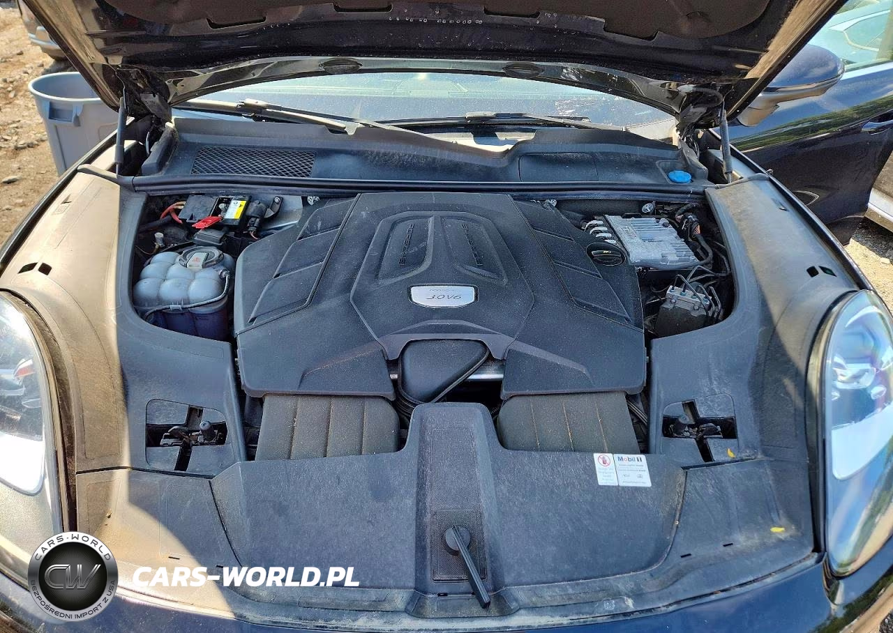 2020 Porsche Cayenne VIN:WP1AA2AY6LDA05233 - 12