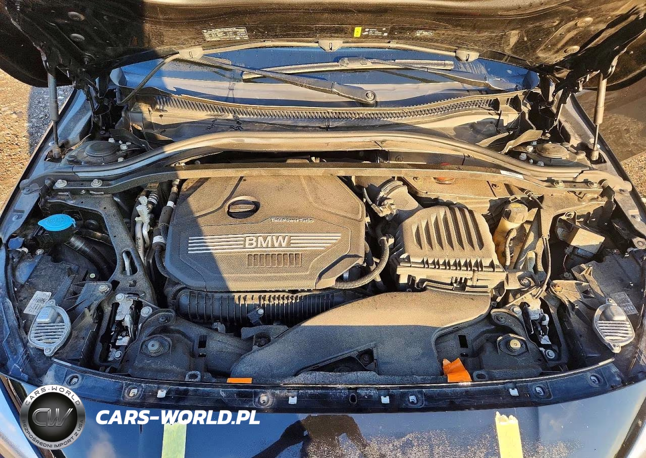2020 BMW 228Xi VIN:WBA73AK09L7F88081 - 11