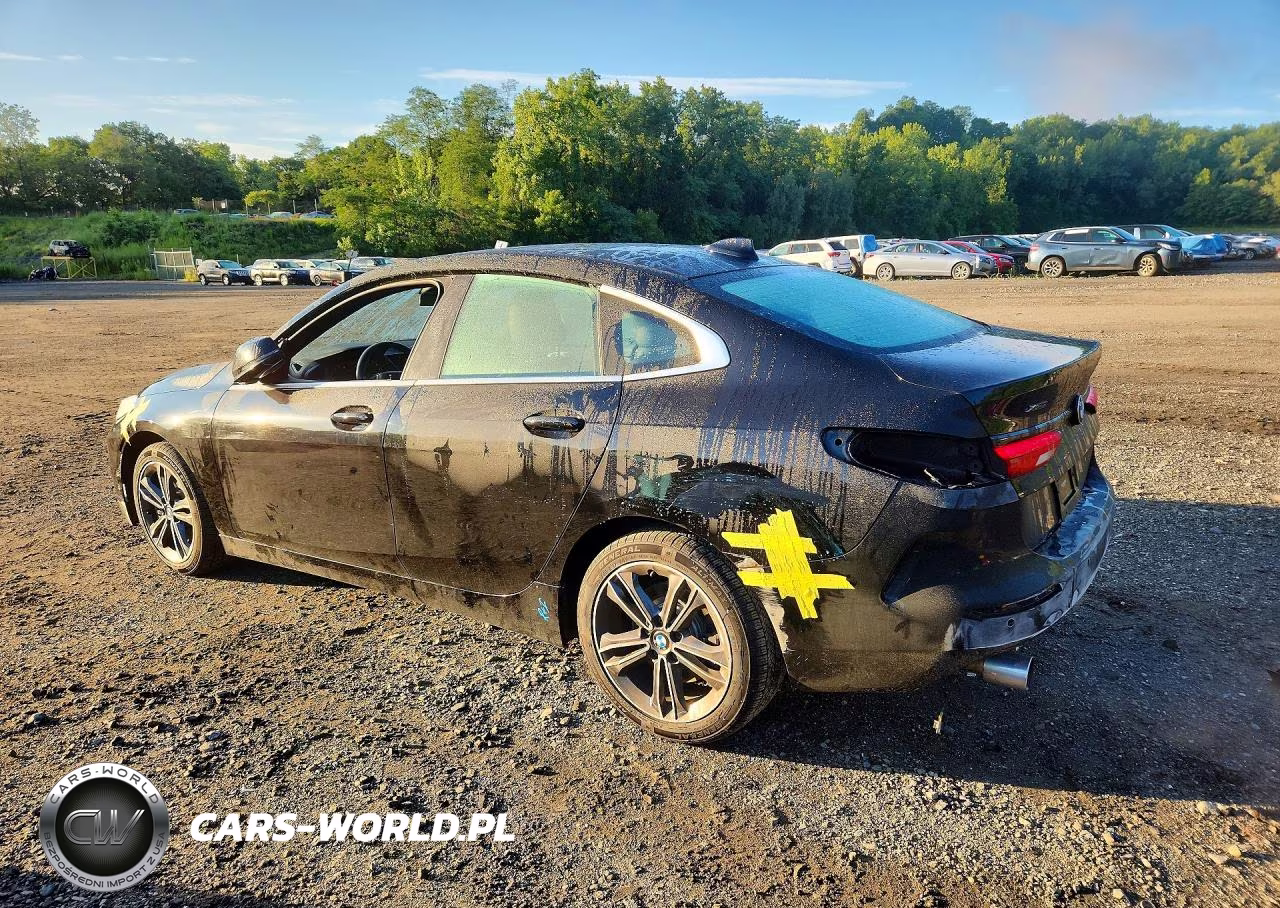 2020 BMW 228Xi VIN:WBA73AK09L7F88081 - 2