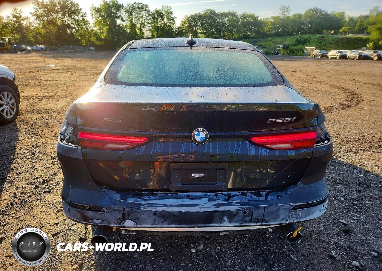 2020 BMW 228Xi VIN:WBA73AK09L7F88081 - 6