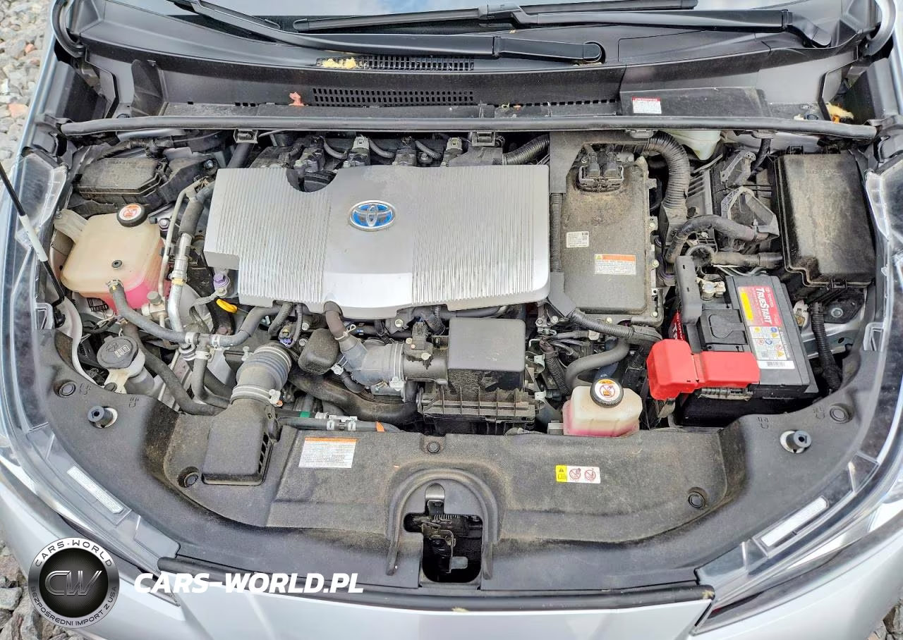 2019 Toyota Prius Xle VIN:JTDKARFU2K3090385 - 11