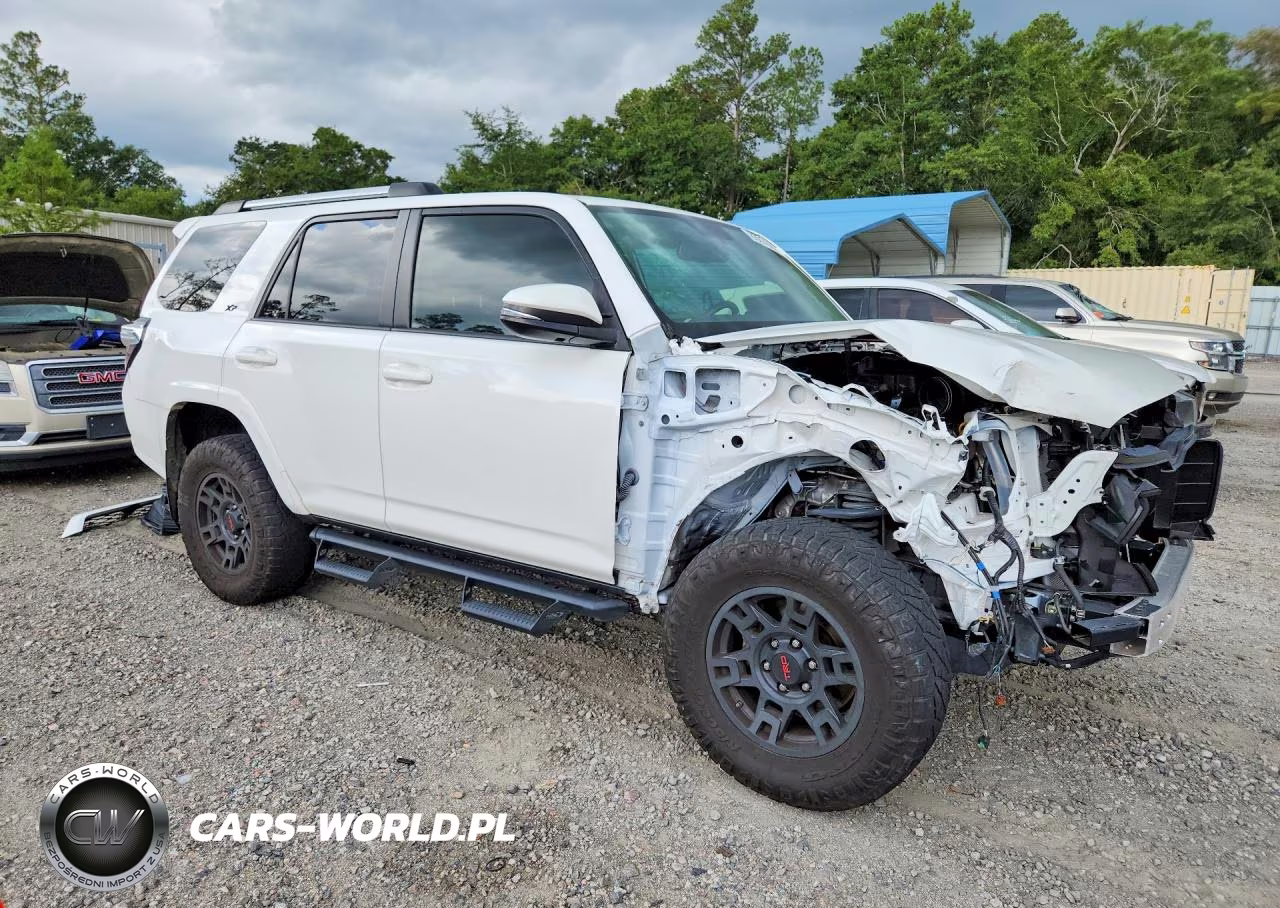 2019 Toyota 4Runner Sr5 Premium VIN:JTEBU5JR1K5735014 - 4