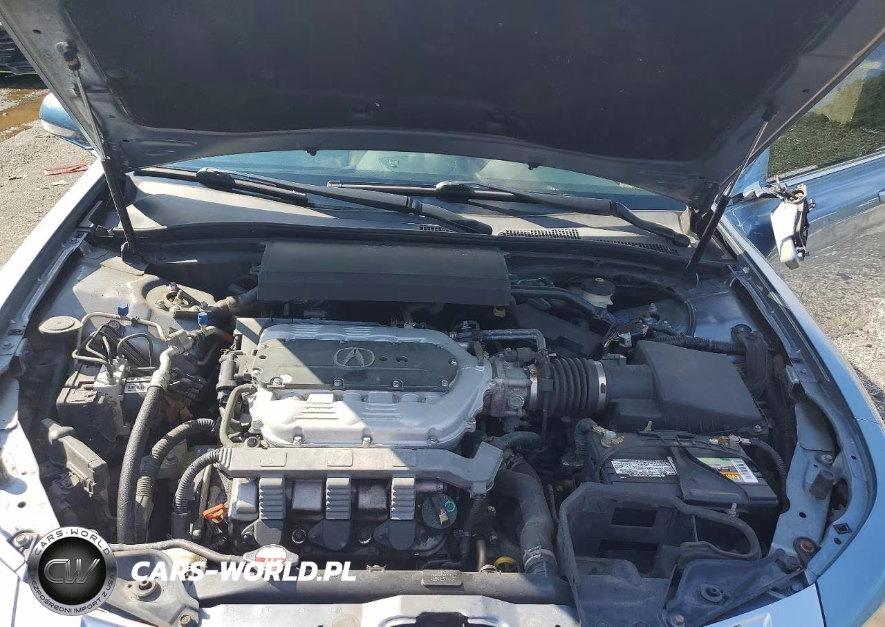 2009 Acura Tl VIN:19UUA86509A006292 - 11