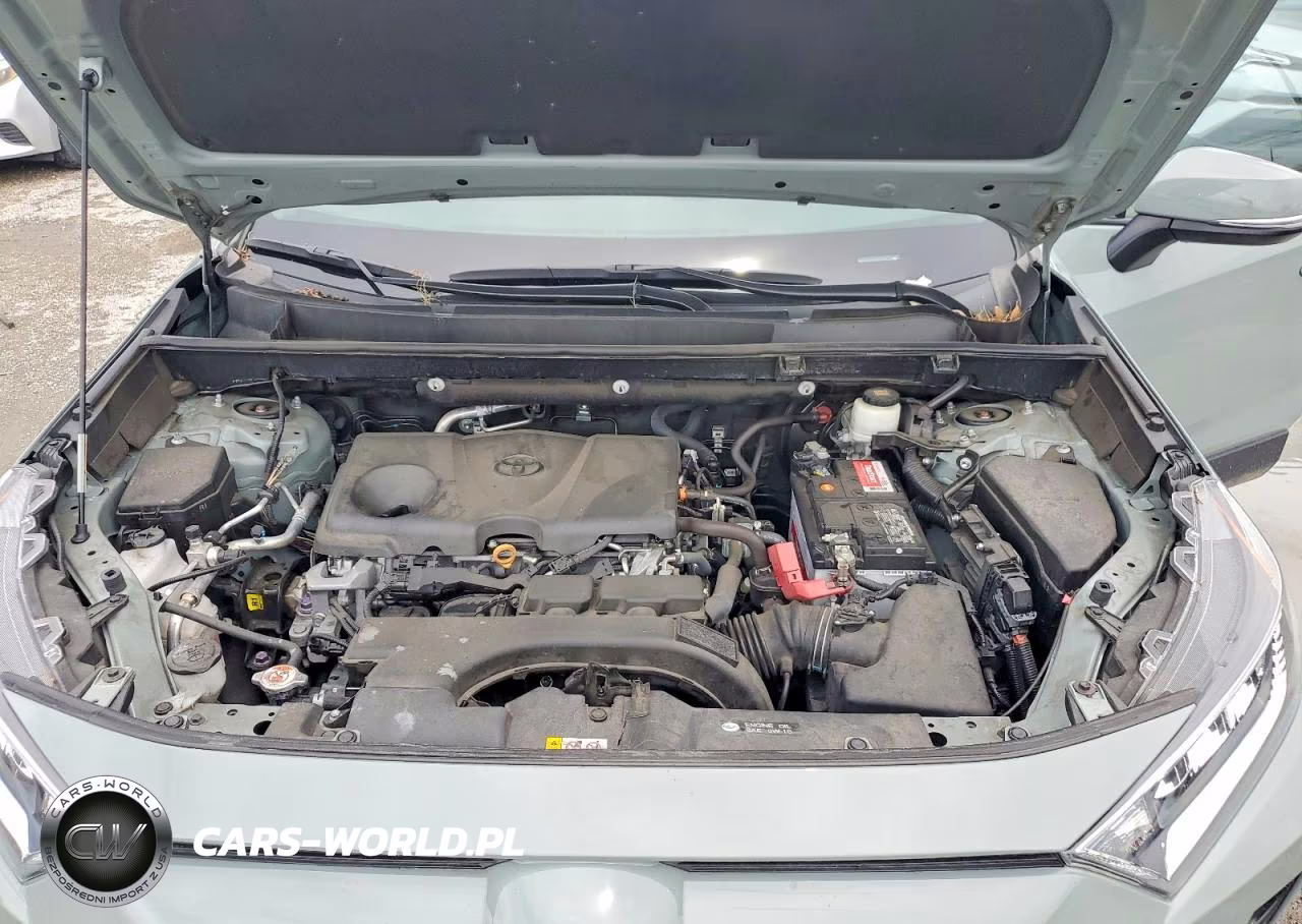 2020 Toyota Rav4 Xle VIN:2T3P1RFV1LC119132 - 12