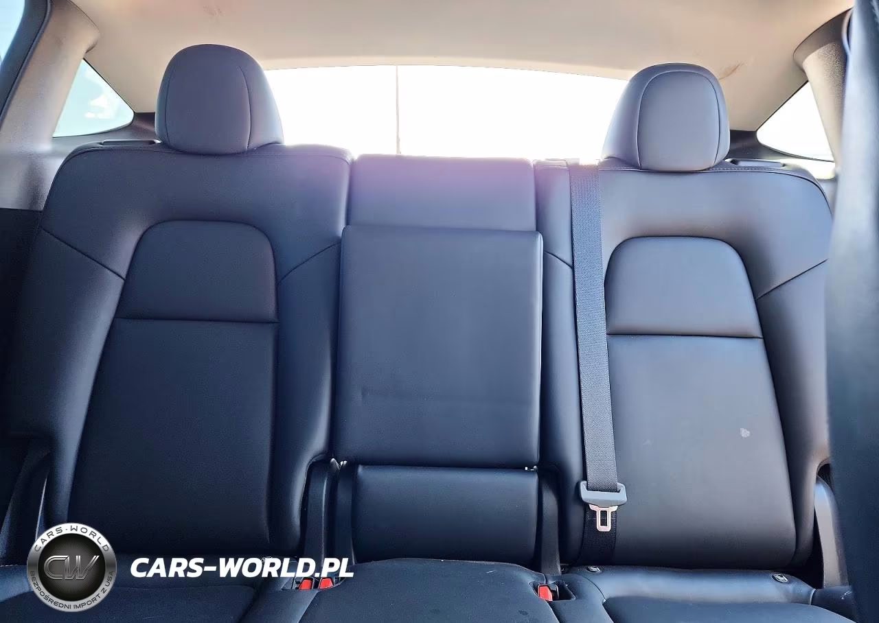 2024 Tesla Model Y VIN:7SAYGDEE5RA222736 - 10