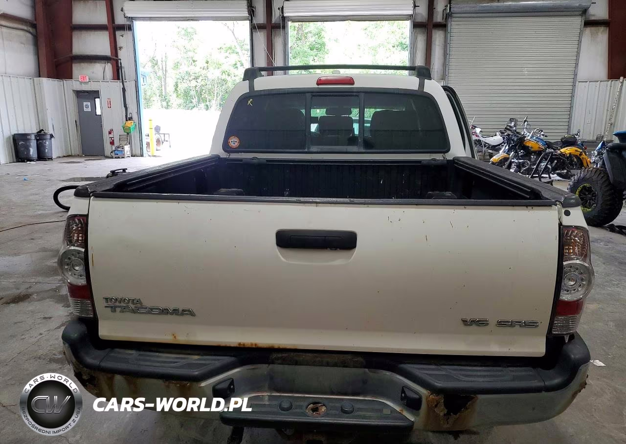 2010 Toyota Tacoma V6 VIN:5TELU4EN8AZ687520 - 6