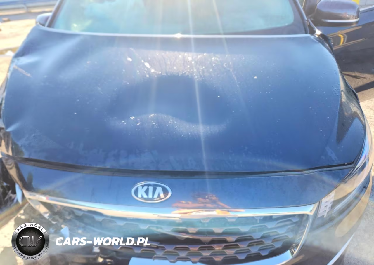 2019 Kia Sedona Ex VIN:KNDMB5C16K6529112 - 12