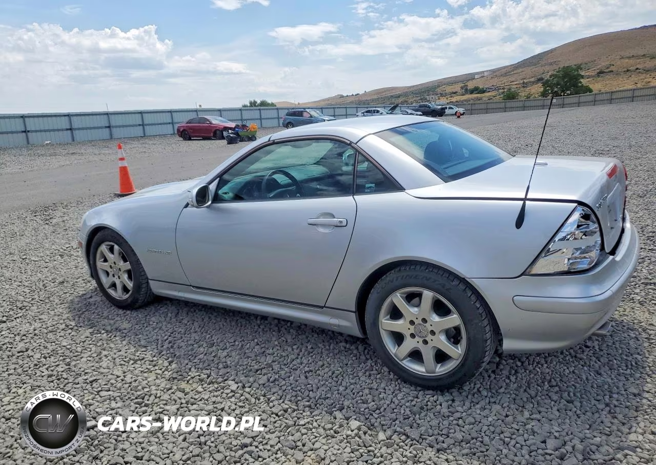 2002 Mercedes-Benz Slk 230 Kompressor VIN:WDBKK49FX2F262396 - 2