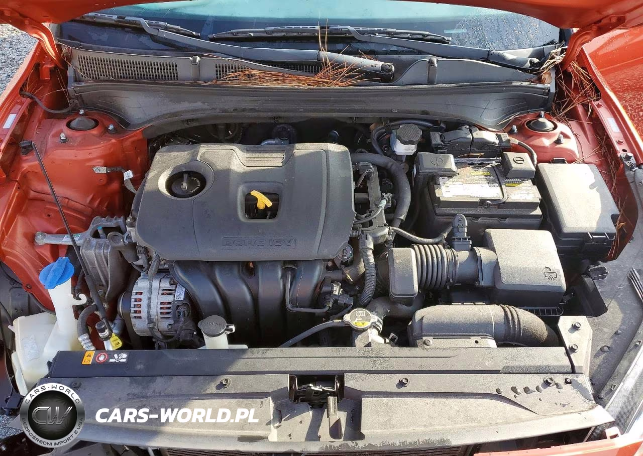 2019 Kia Forte Ex VIN:3KPF54AD1KE087339 - 11