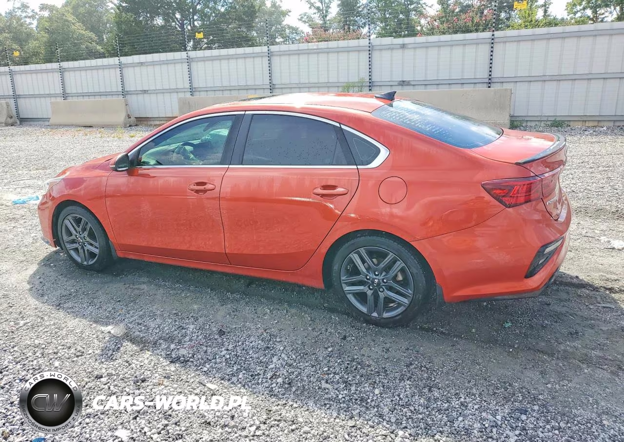 2019 Kia Forte Ex VIN:3KPF54AD1KE087339 - 2