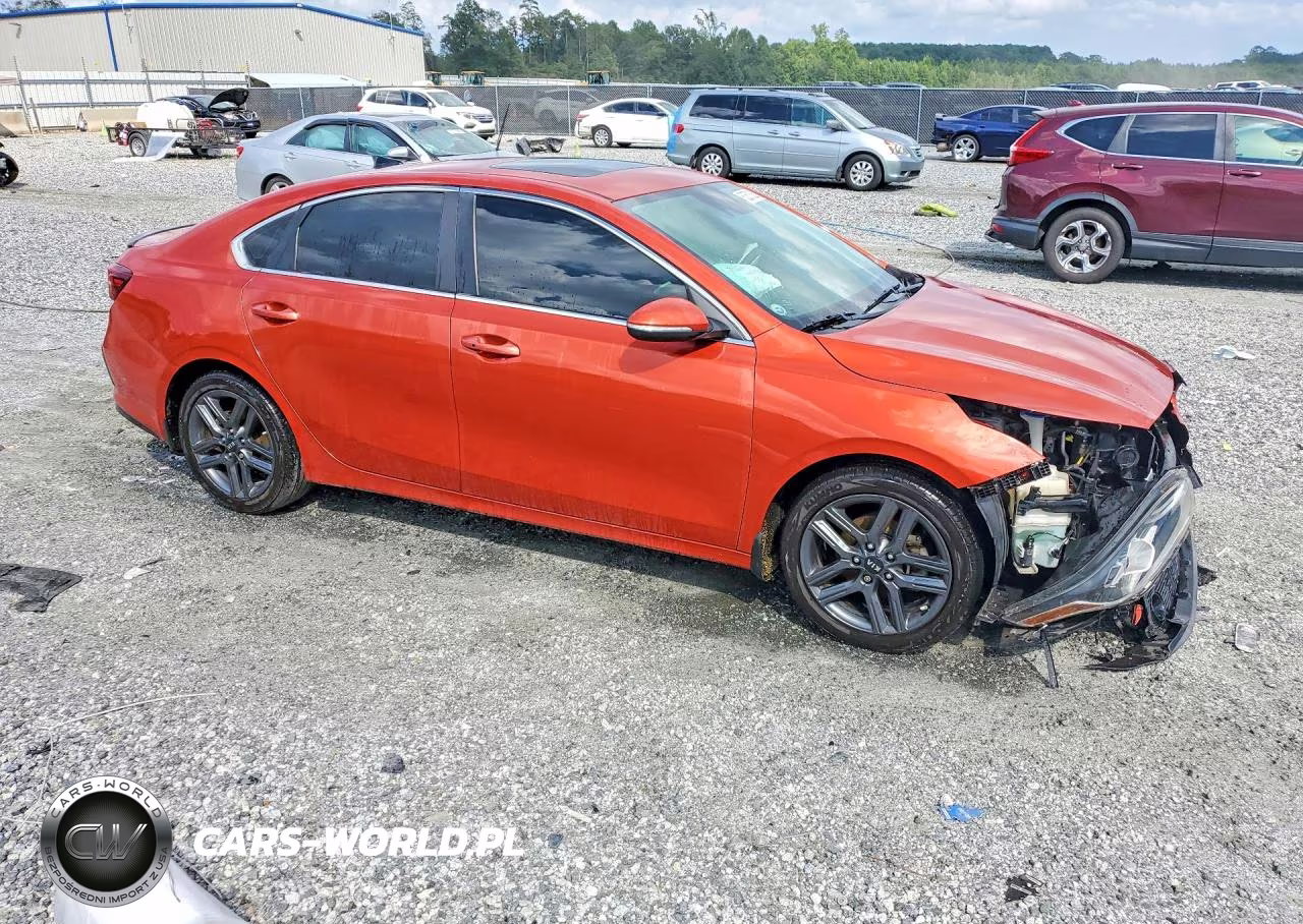 2019 Kia Forte Ex VIN:3KPF54AD1KE087339 - 4