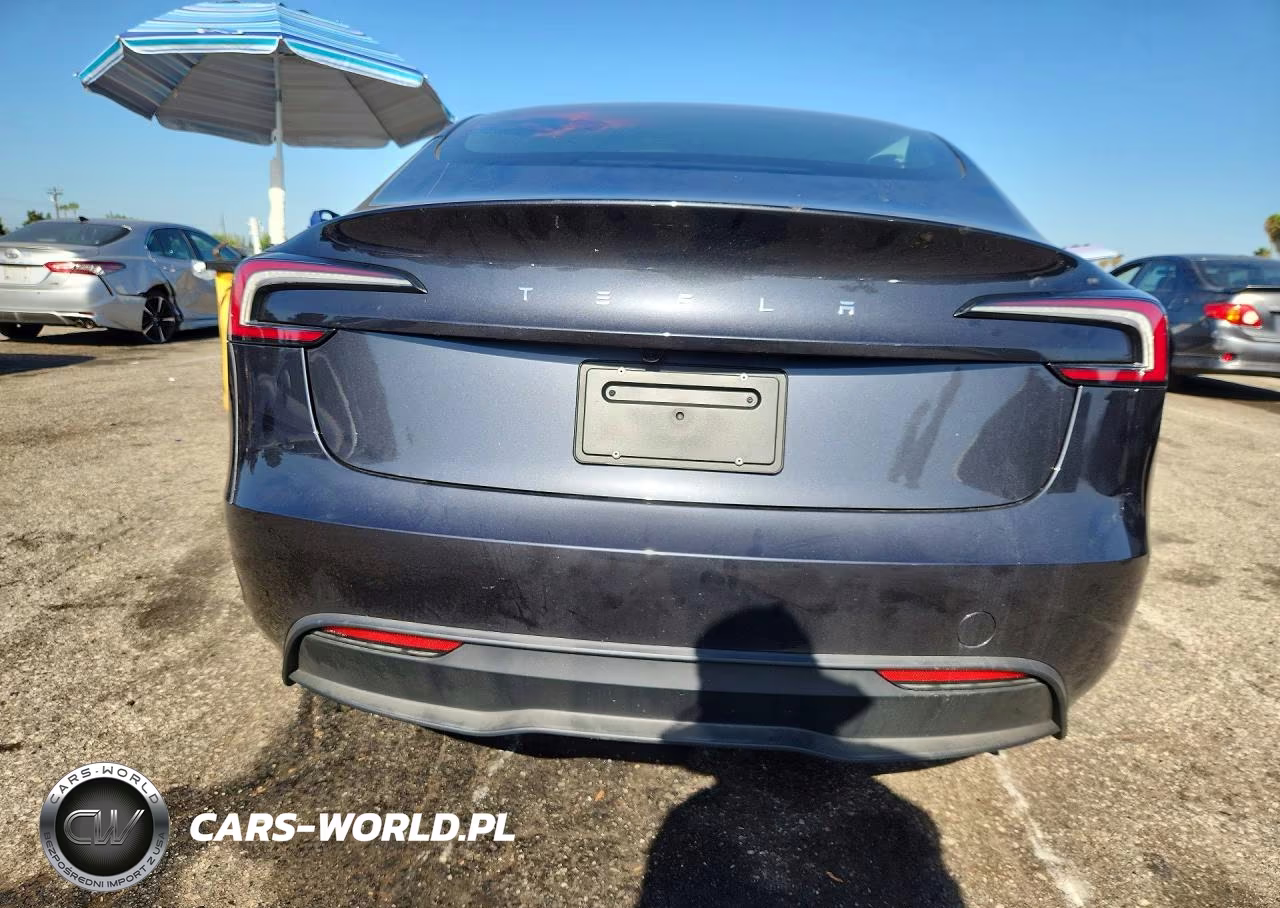 2025 Tesla Model 3 VIN:5YJ3E1EA9SF045271 - 6