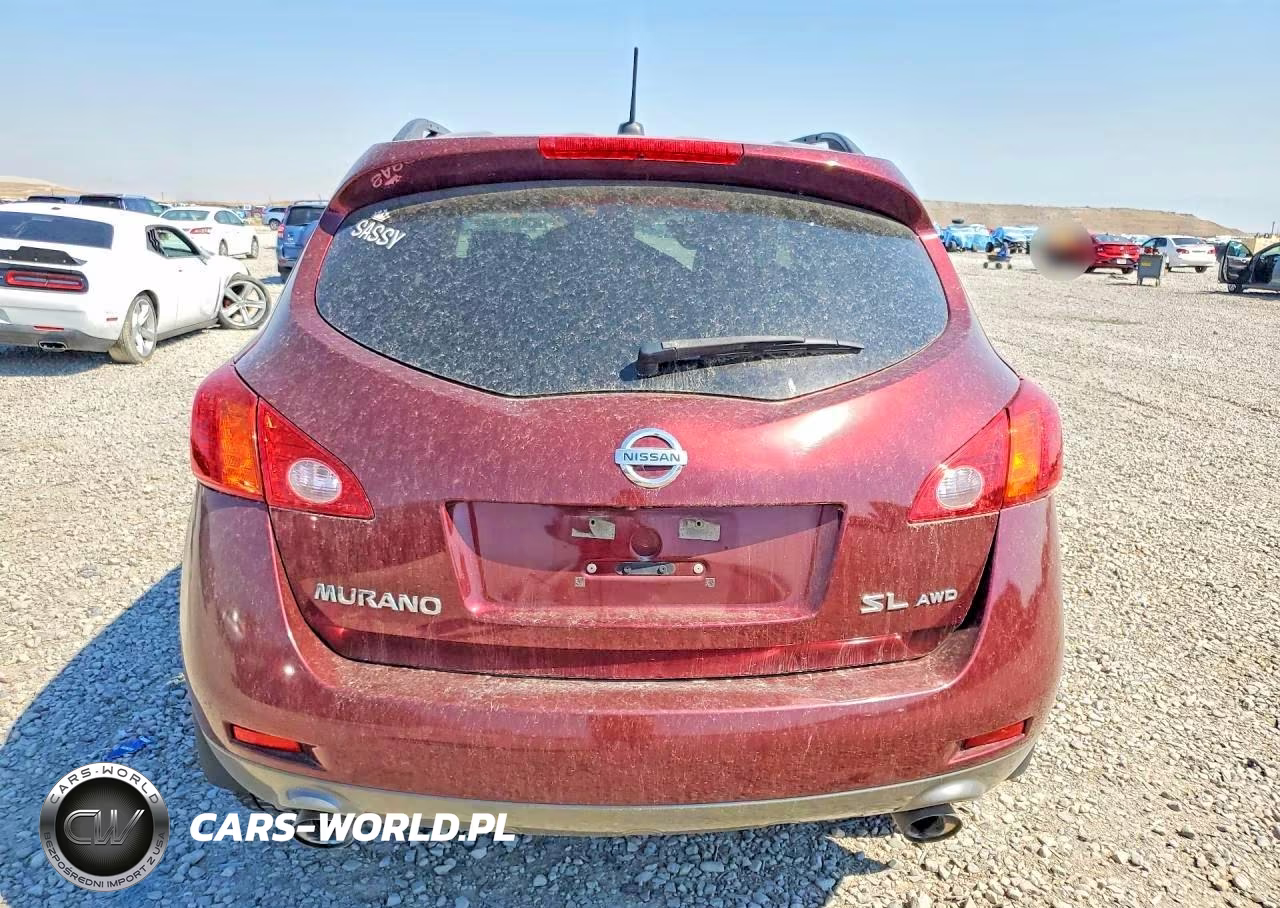 2010 Nissan Murano S VIN:JN8AZ1MW3AW134387 - 6