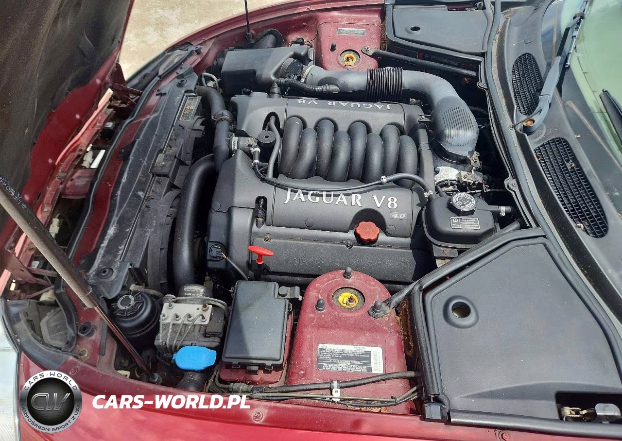 2000 Jaguar Xk8 VIN:SAJJA42C6YNA01804 - 11
