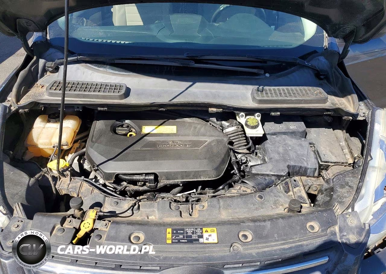 2015 Ford Escape Se VIN:1FMCU0GX5FUC66079 - 12