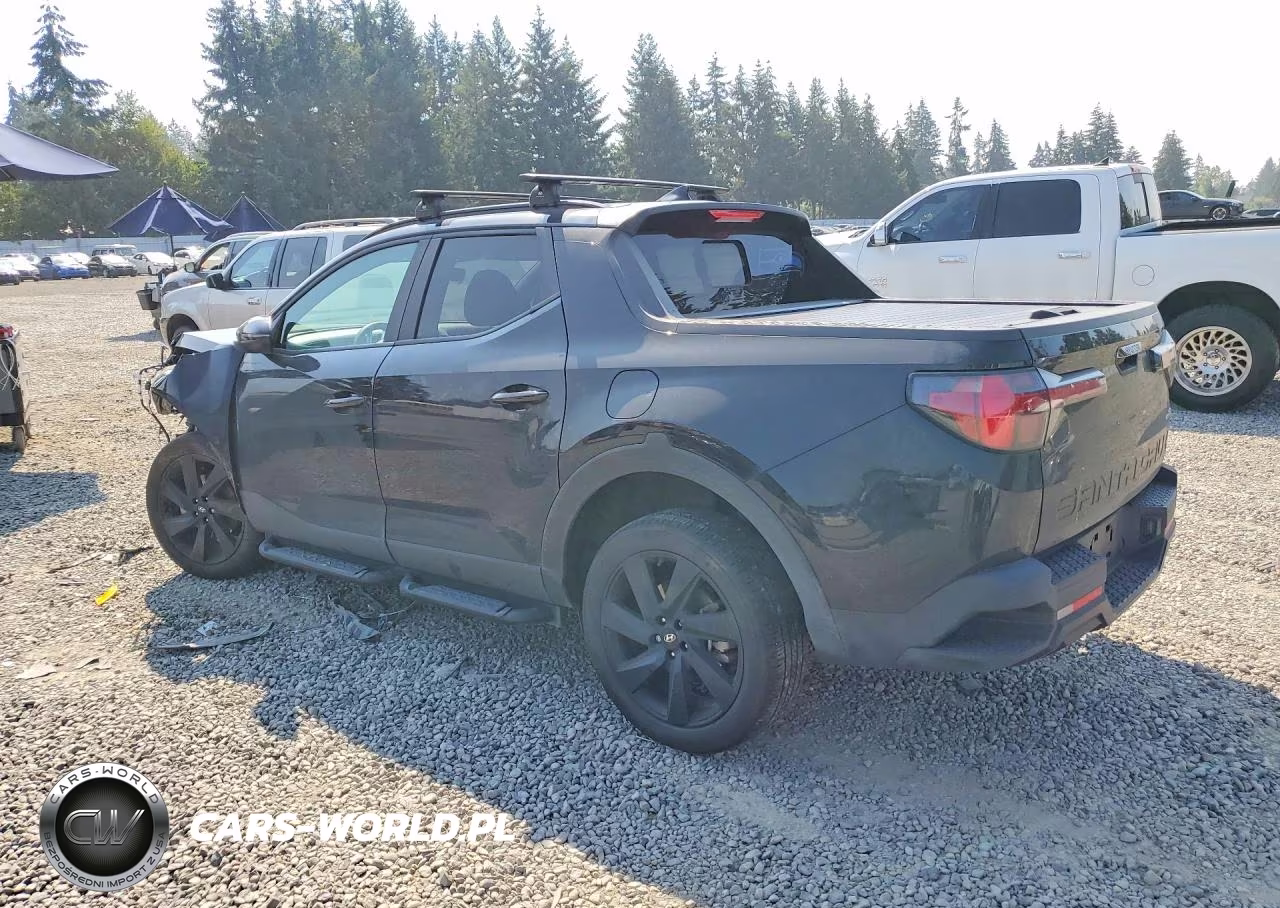 2024 Hyundai Santa Cruz Night VIN:5NTJCDAF0RH096784 - 2