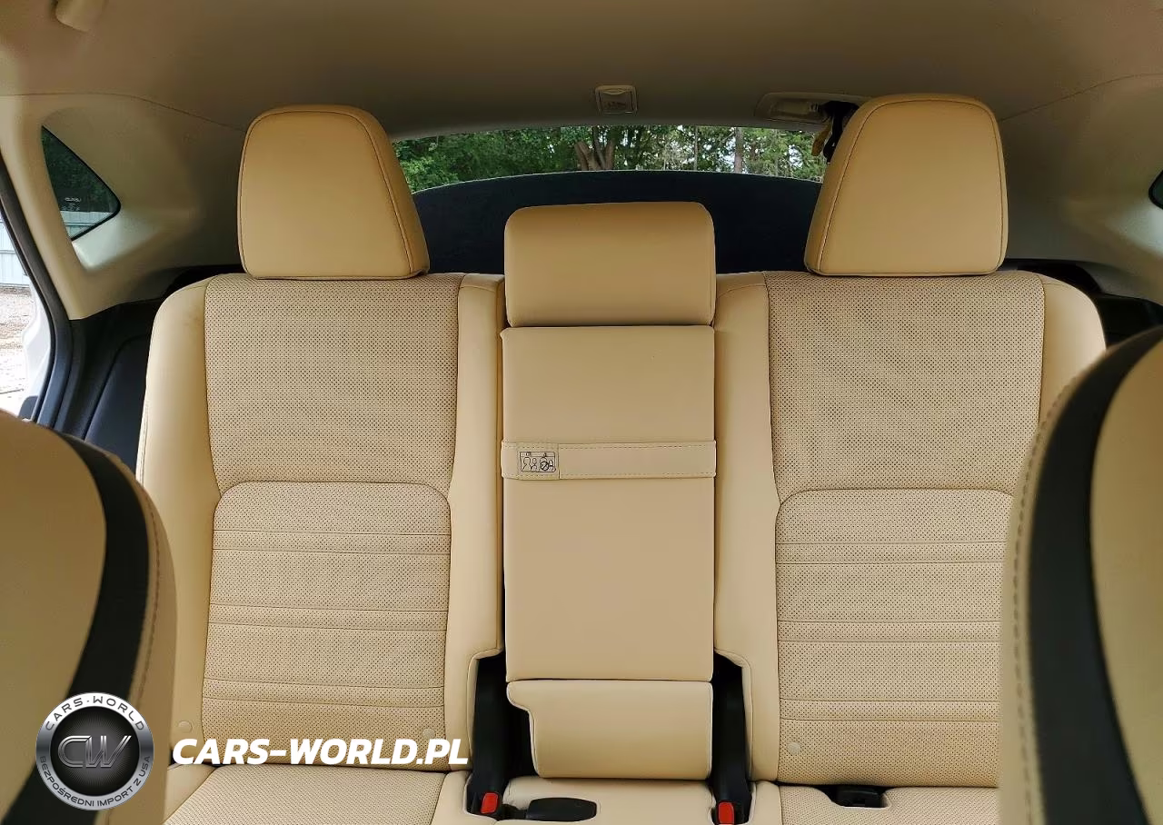 2016 Lexus Nx 300H VIN:JTJBJRBZ8G2047763 - 10
