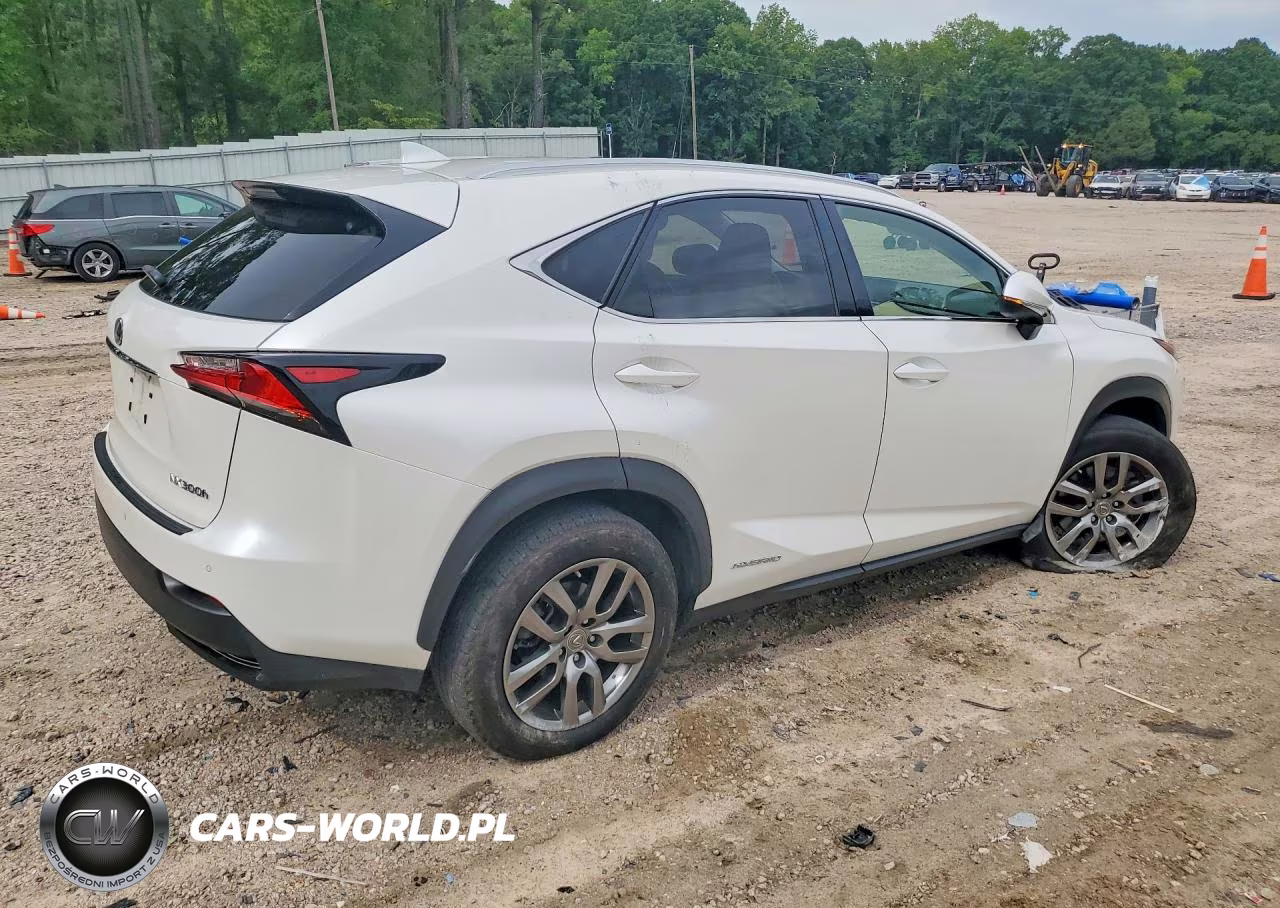 2016 Lexus Nx 300H VIN:JTJBJRBZ8G2047763 - 3