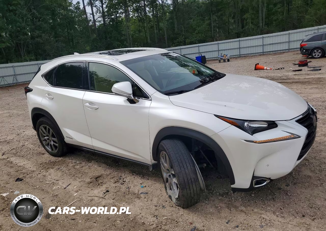 2016 Lexus Nx 300H VIN:JTJBJRBZ8G2047763 - 4