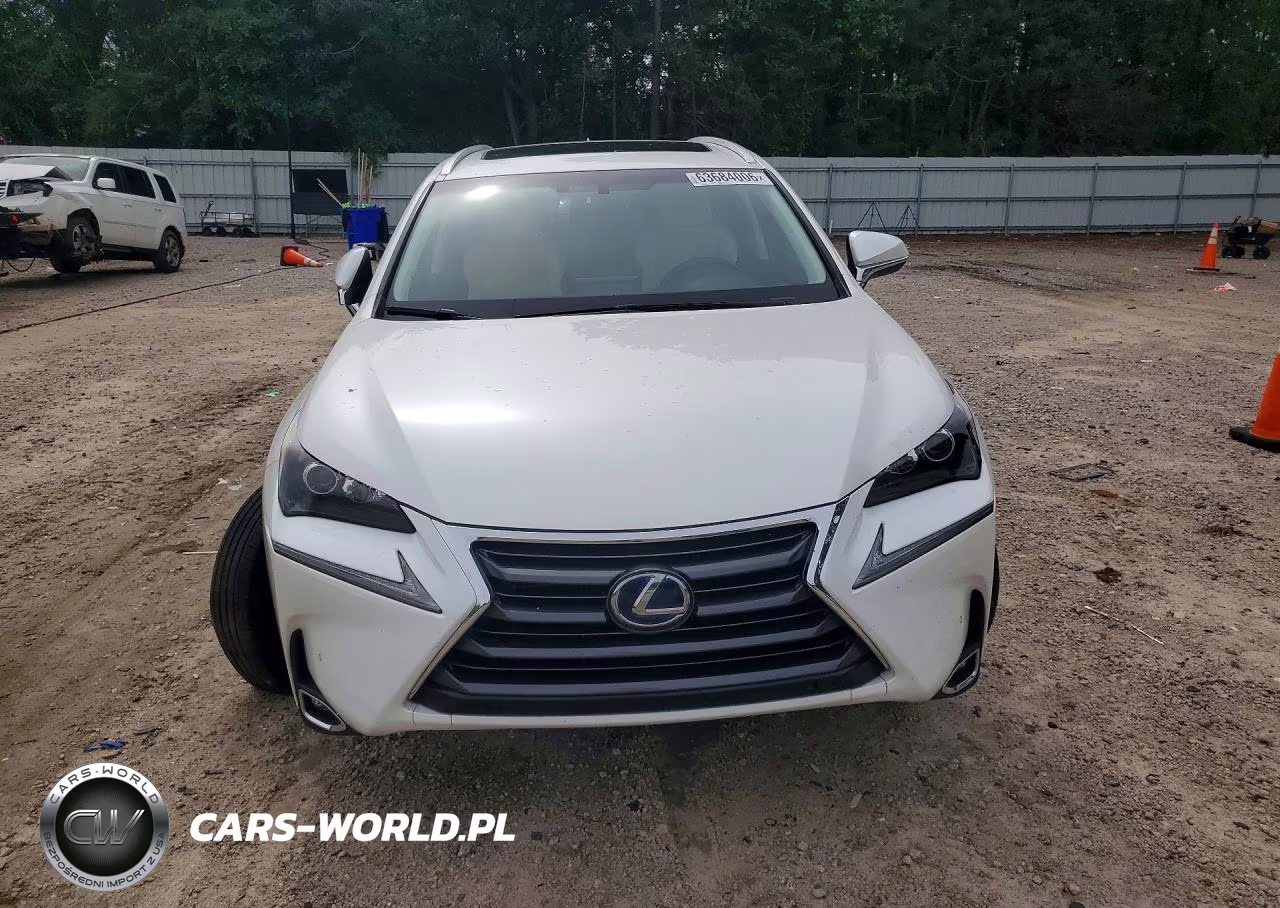 2016 Lexus Nx 300H VIN:JTJBJRBZ8G2047763 - 5