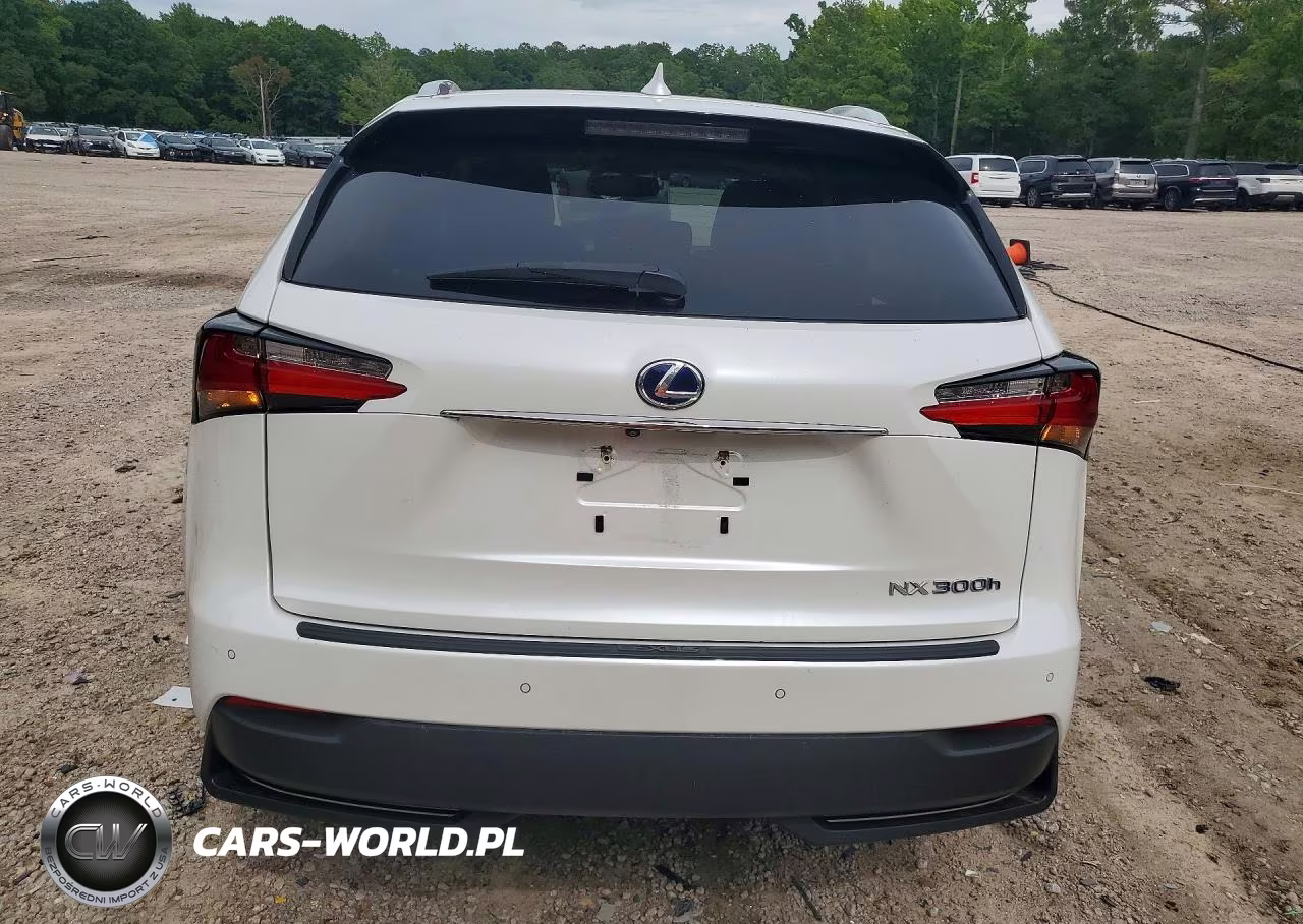 2016 Lexus Nx 300H VIN:JTJBJRBZ8G2047763 - 6