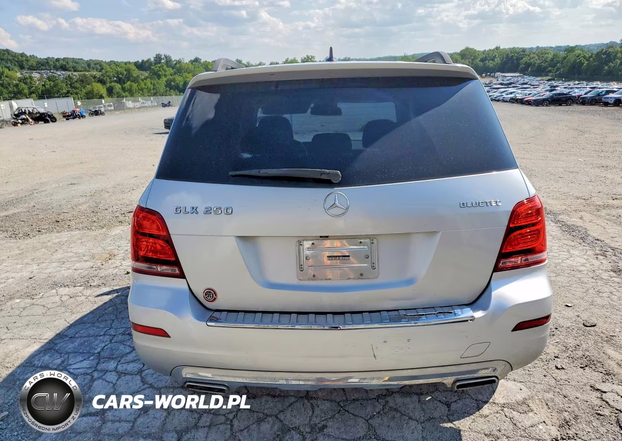 2015 Mercedes-Benz Glk 250 Bluetec VIN:WDCGG0EB0FG420940 - 6