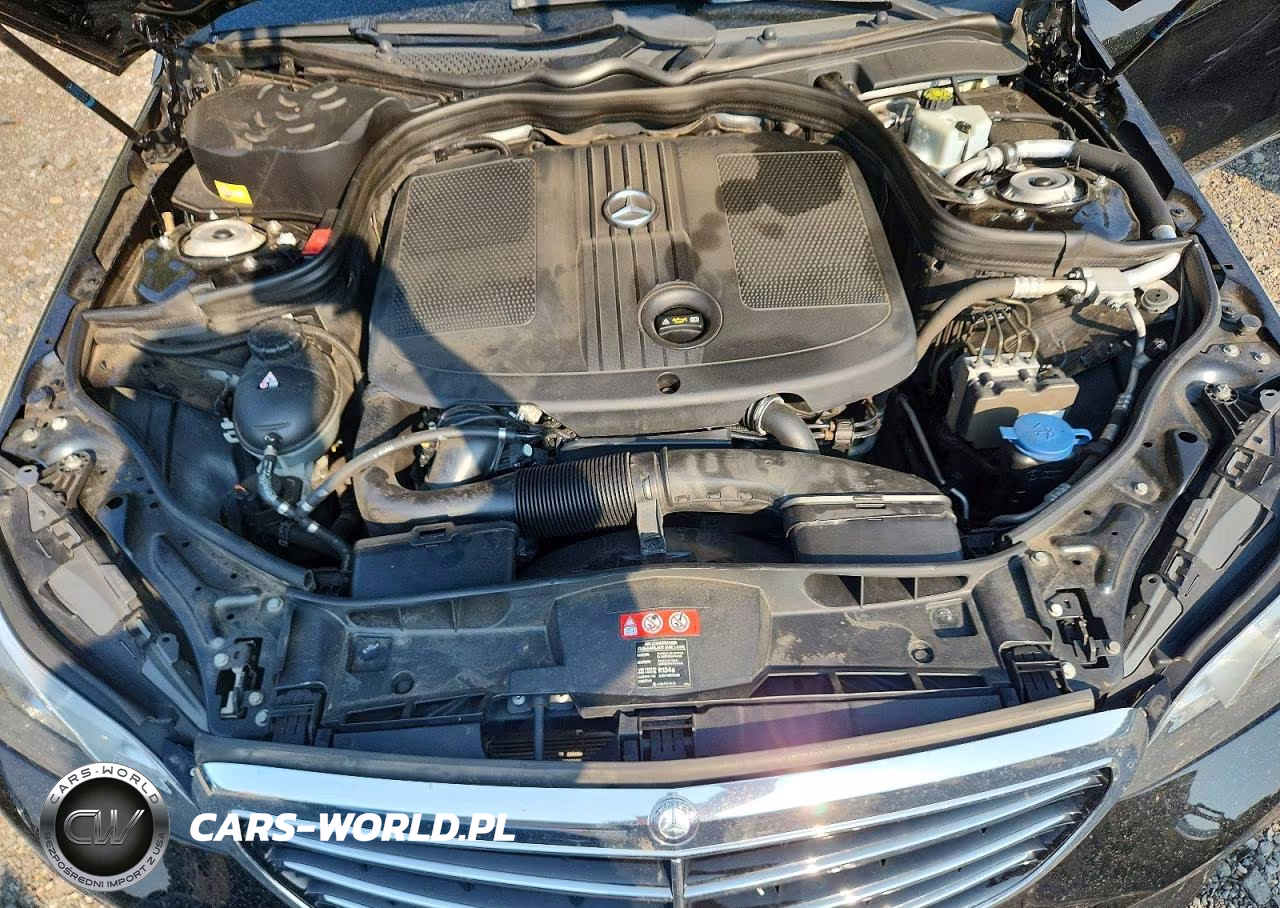 2014 Mercedes-Benz E 250 Bluetec VIN:WDDHF9HB2EA875132 - 11