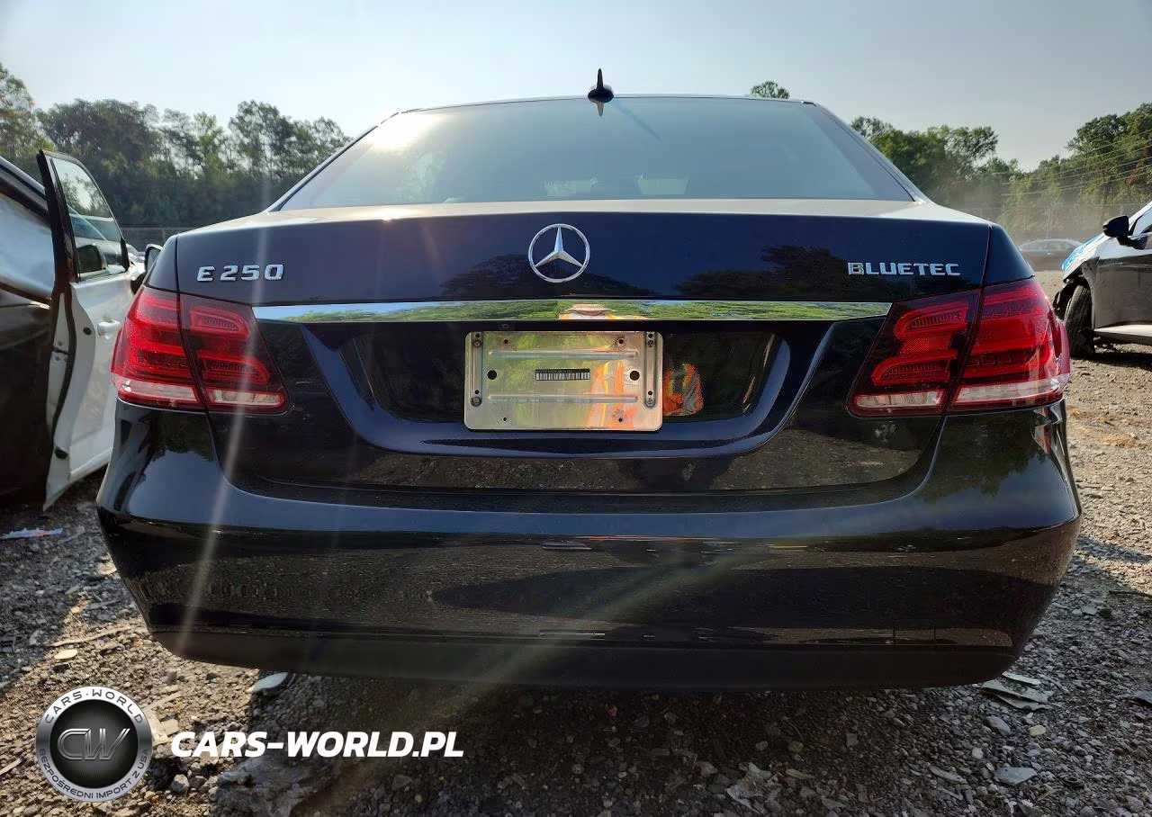 2014 Mercedes-Benz E 250 Bluetec VIN:WDDHF9HB2EA875132 - 6