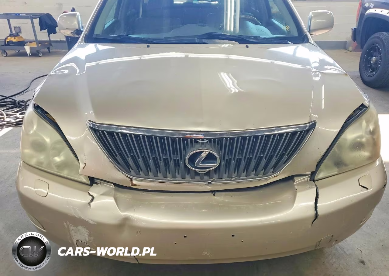 2004 Lexus Rx 330 VIN:2T2HA31UX4C014742 - 12