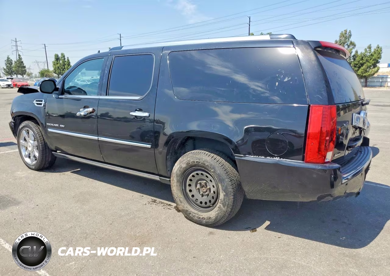 2010 Cadillac Escalade Esv Premium VIN:1GYUCJEF0AR115538 - 2