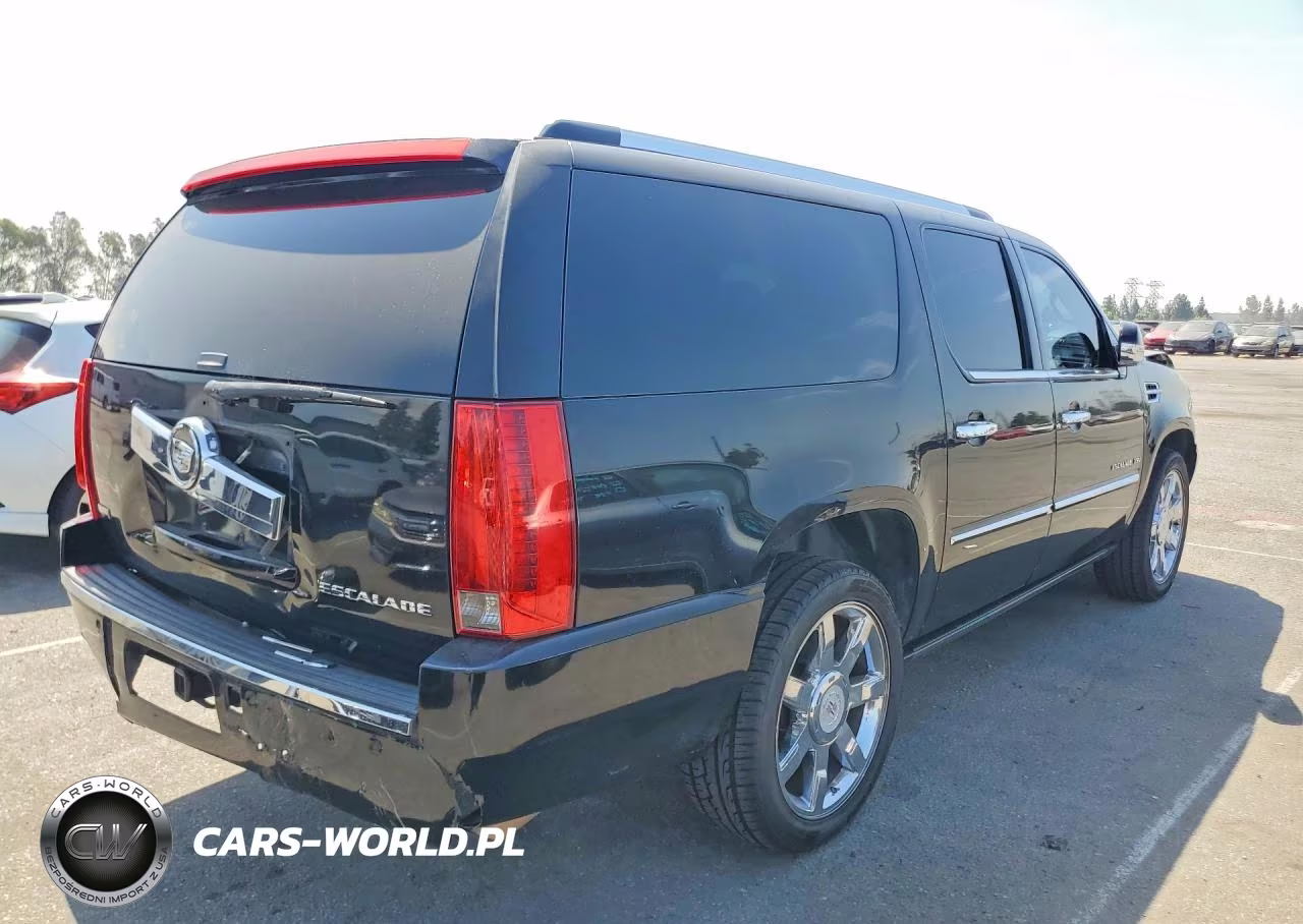 2010 Cadillac Escalade Esv Premium VIN:1GYUCJEF0AR115538 - 3