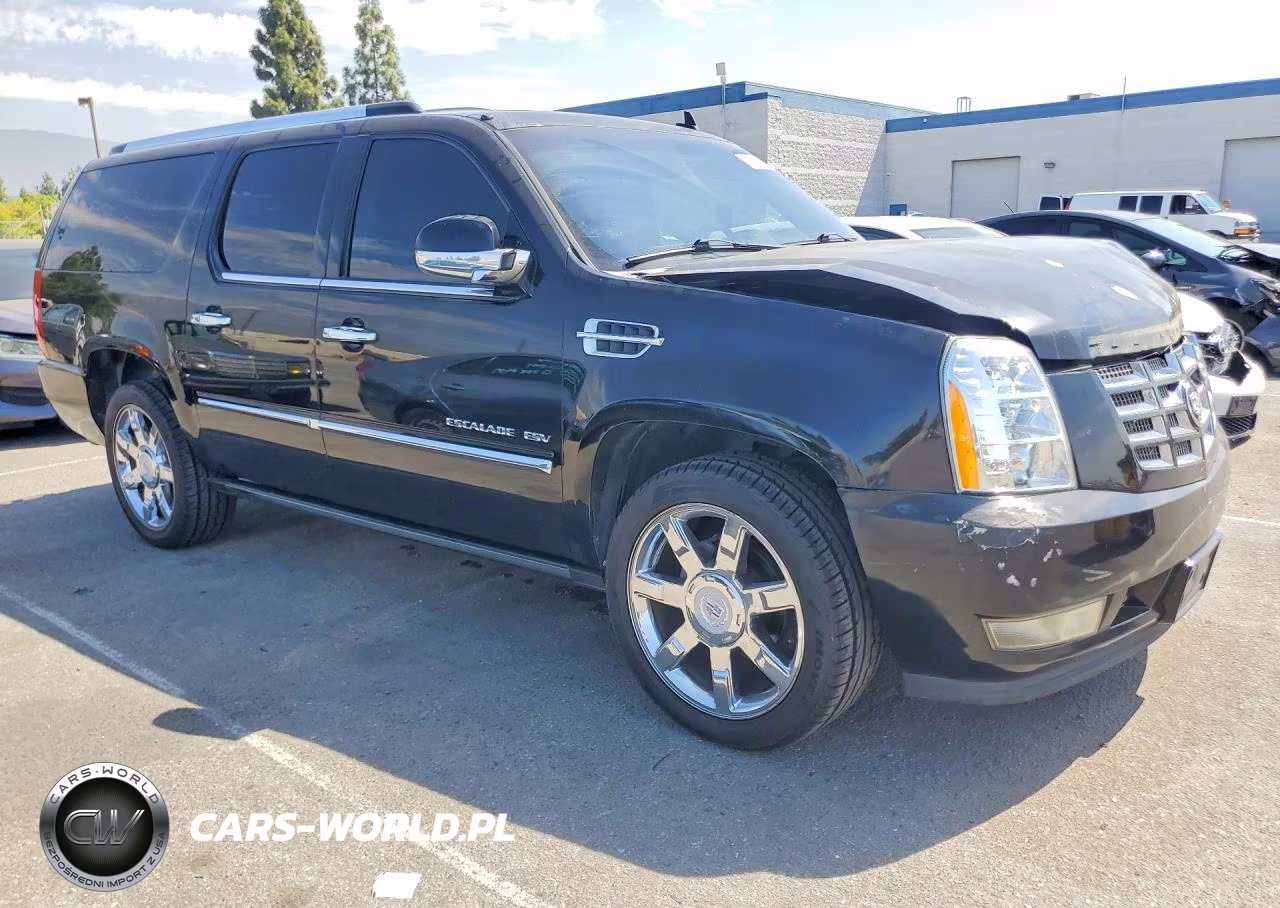 2010 Cadillac Escalade Esv Premium VIN:1GYUCJEF0AR115538 - 4
